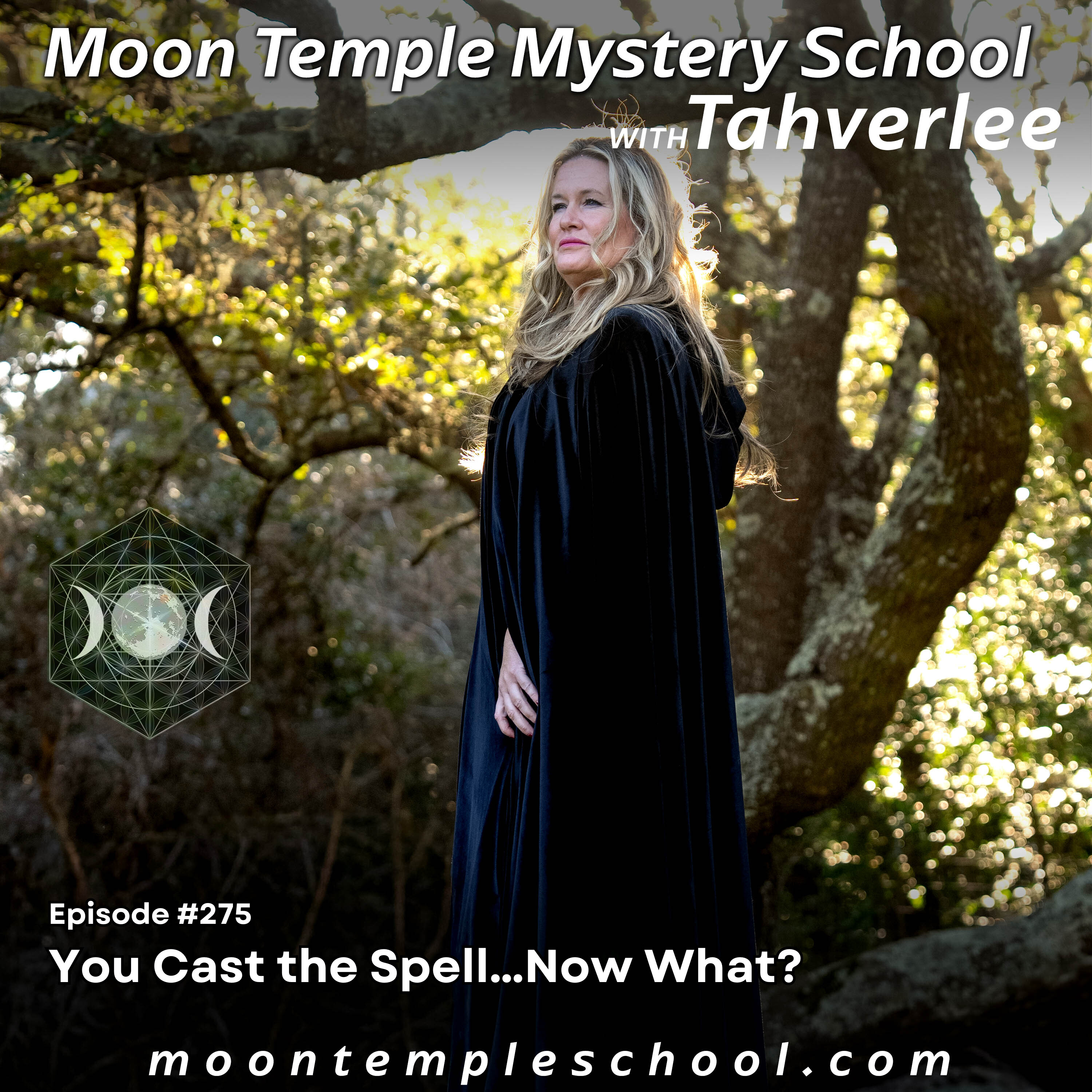 You Cast the Spell…Now What? episode artwork