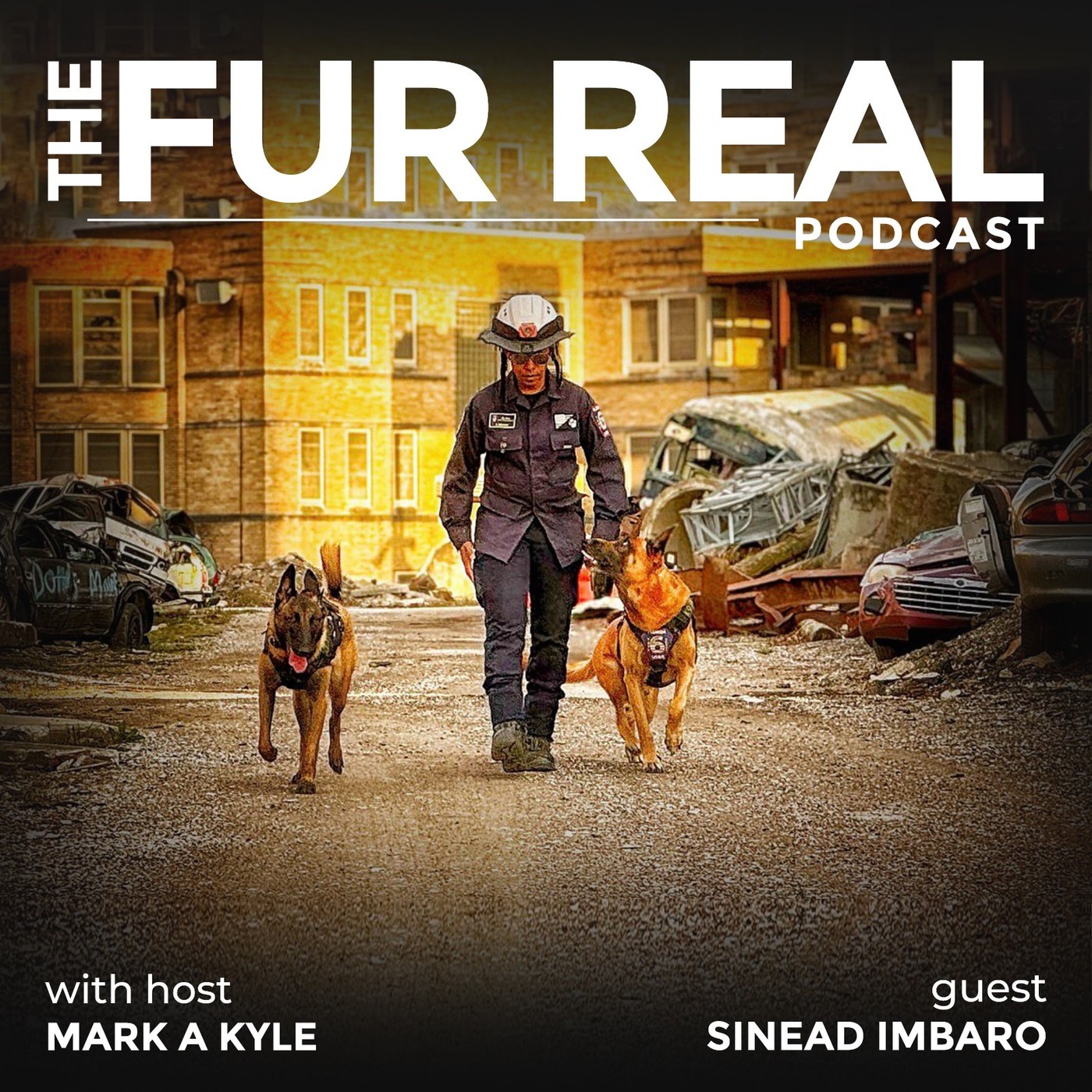 "ELITE POLICE AND MILITARY K9 TRAINER SINEAD IMBARO"