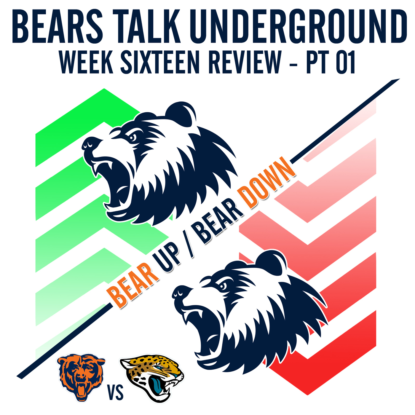 Week Sixteen Review - Bear Up/Bear Down episode artwork