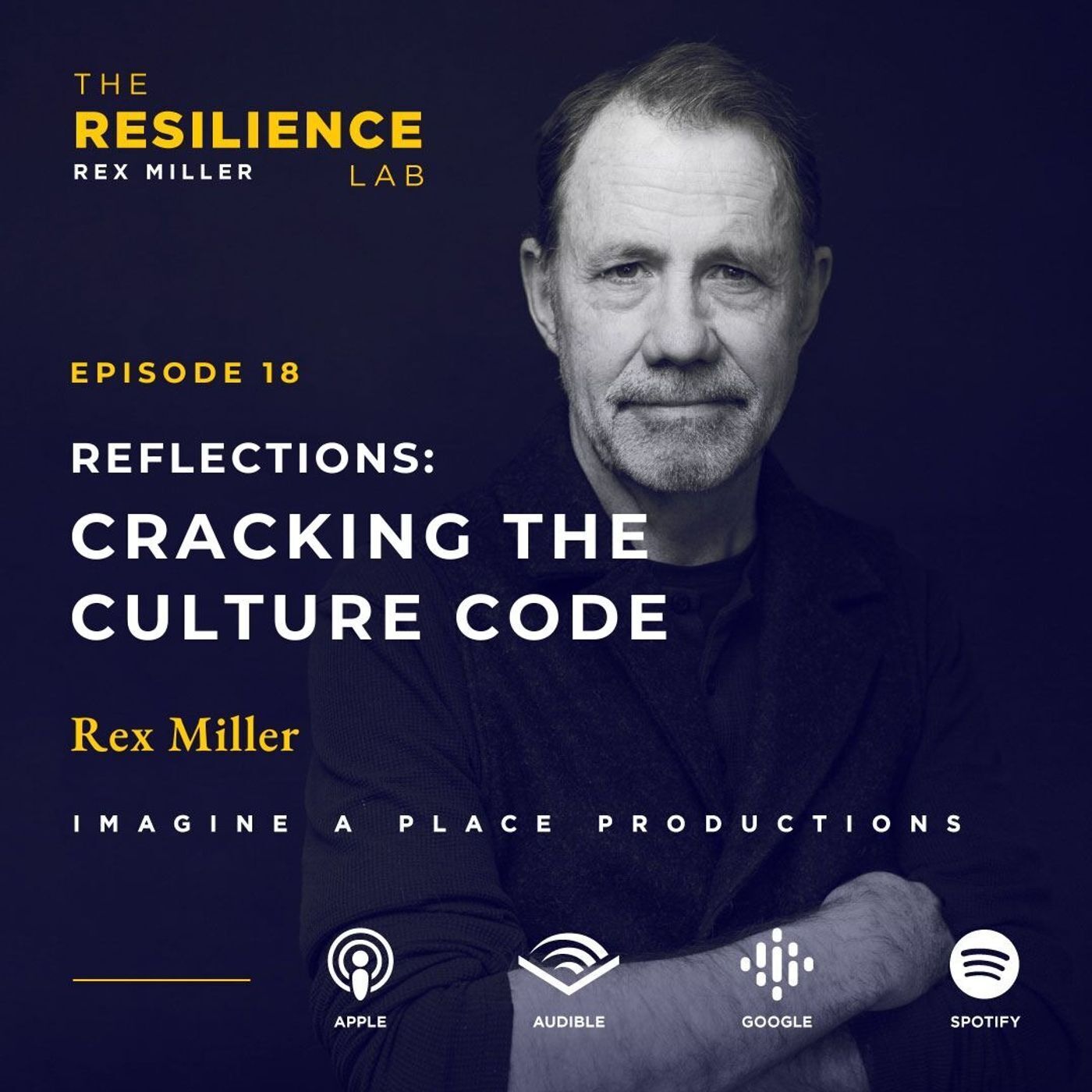 Reflections: Cracking the Culture Code