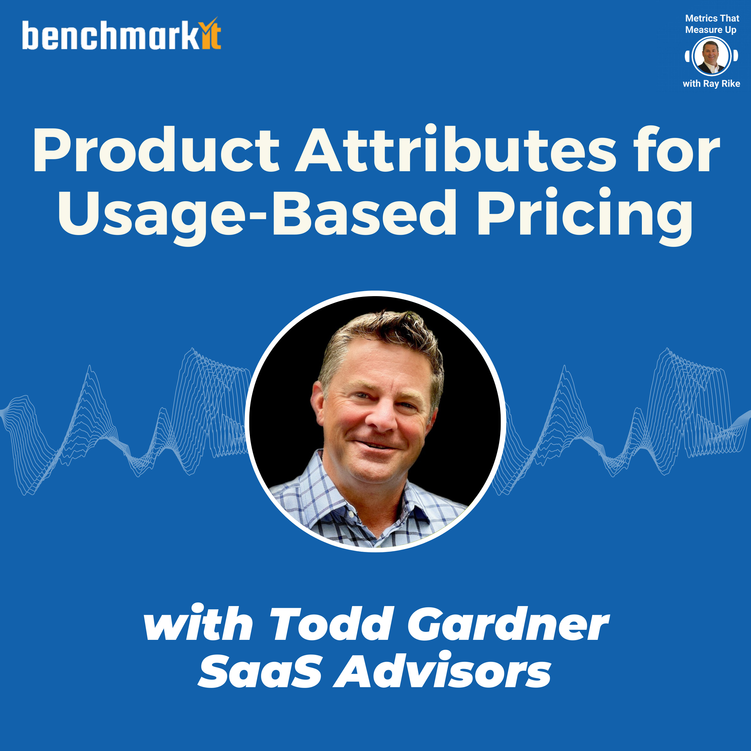 Todd Gardner - The rise of Usage-Based Pricing in B2B SaaS