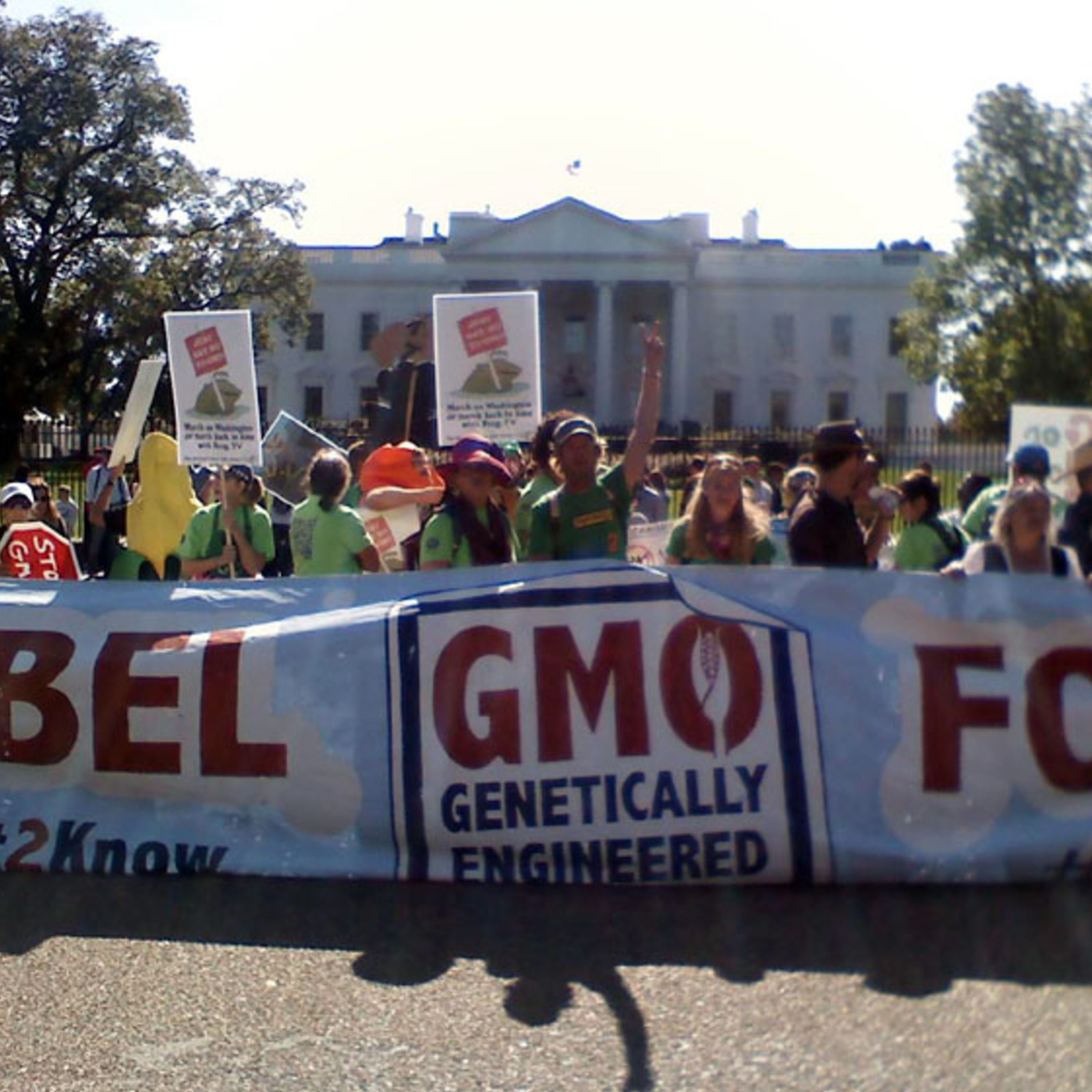 Episode 50: Genetic Modification Nation