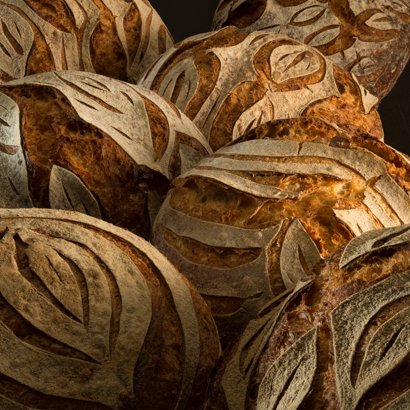 Episode 13: Breads Across America