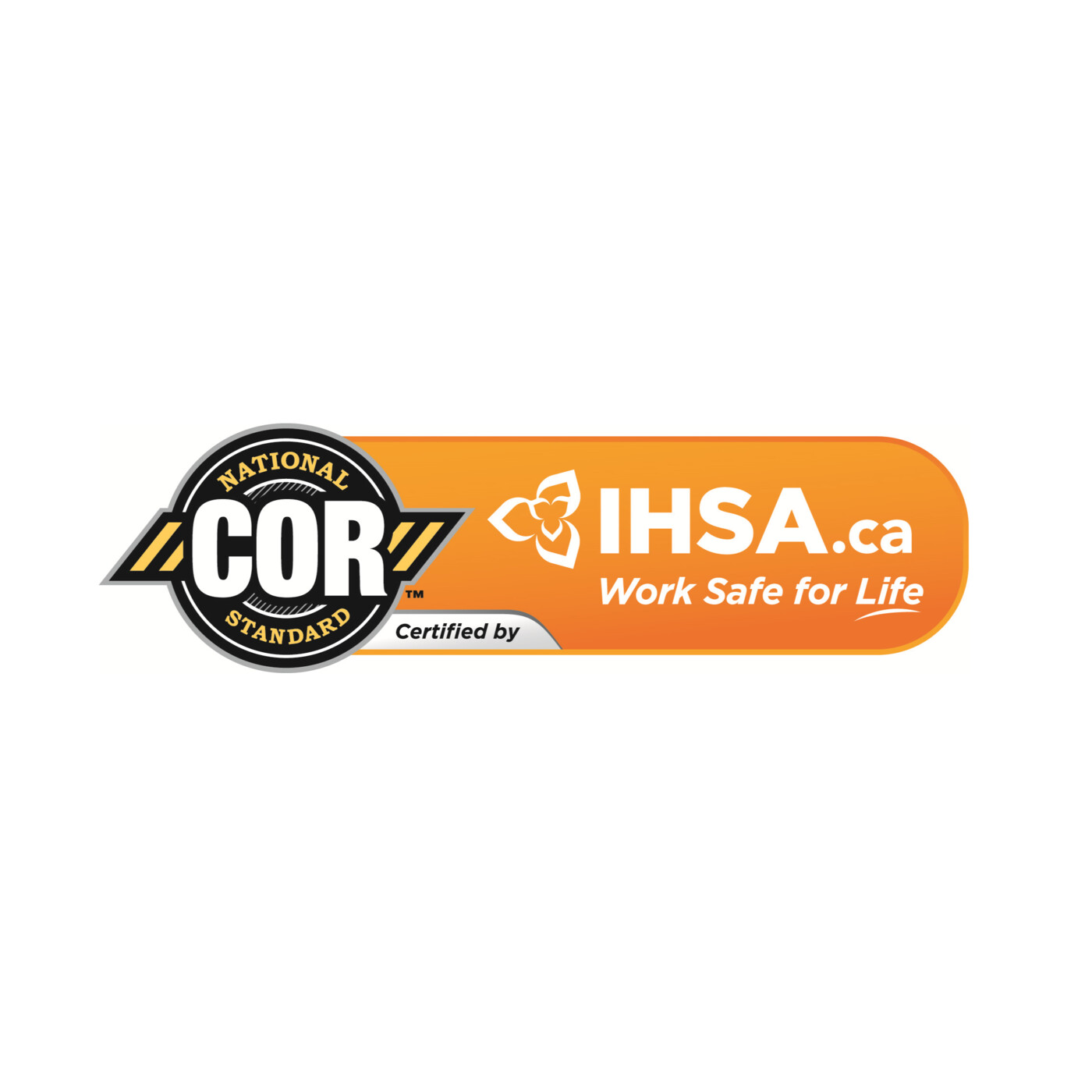 COR™ – Understanding Your Audit Results