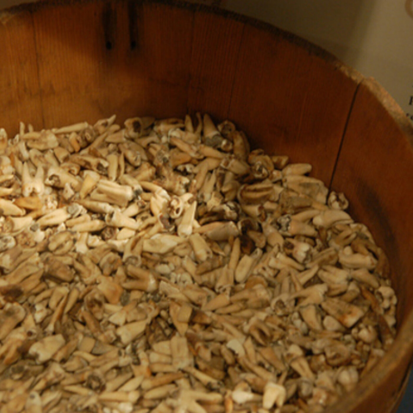 182 - Street Dentist Painless Parker