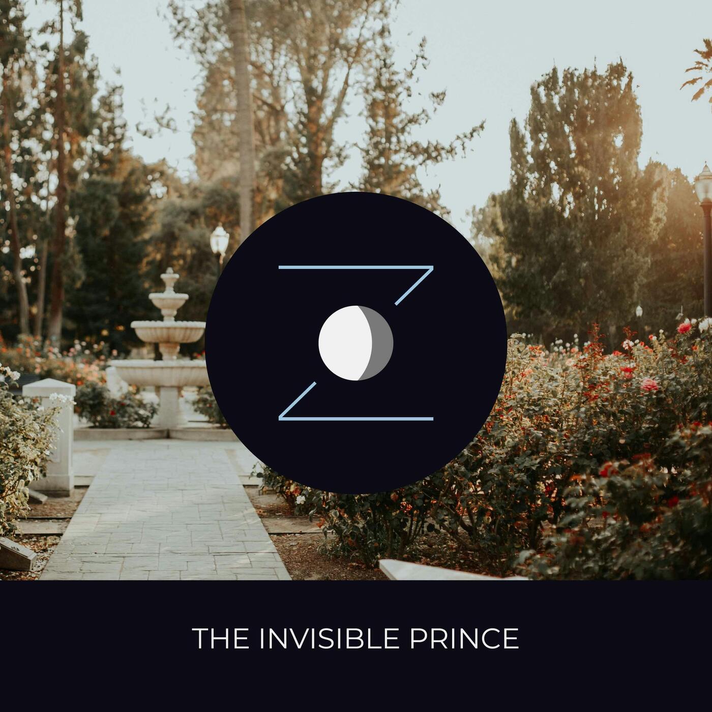The Invisible Prince episode artwork