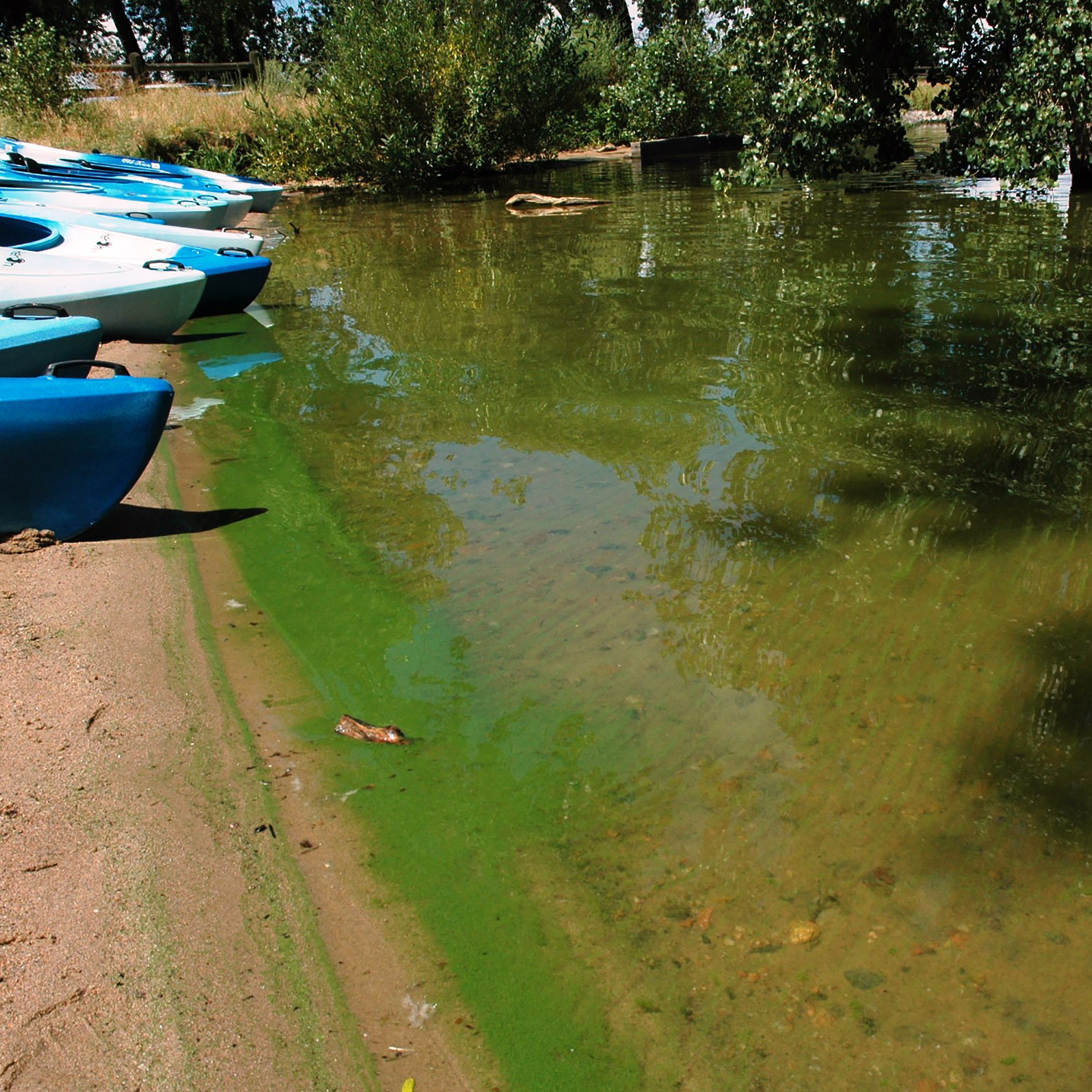 S1E18: 1.18 - Explaining Algae & E. Coli in our Lakes and Reservoirs - July 23, 2021