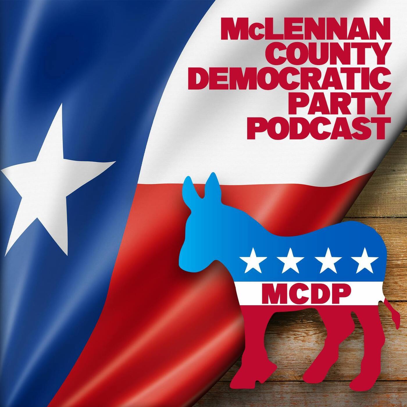 Episode 1 - Erin Shank running for Texas House - District 56 and Tracy Fisher running for Texas State Board of Education - District 14 episode artwork