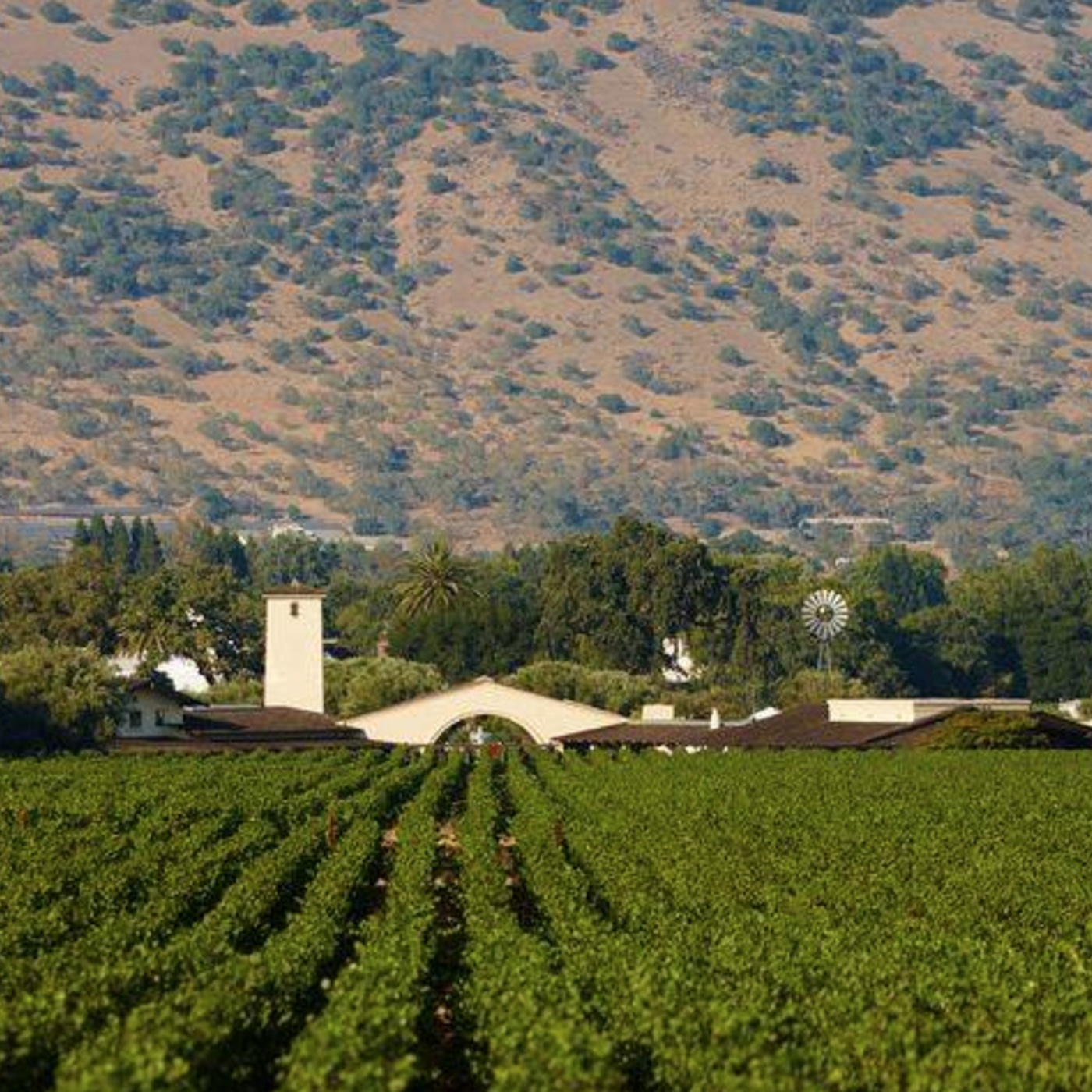 Episode 84: California Wildfire Update #3