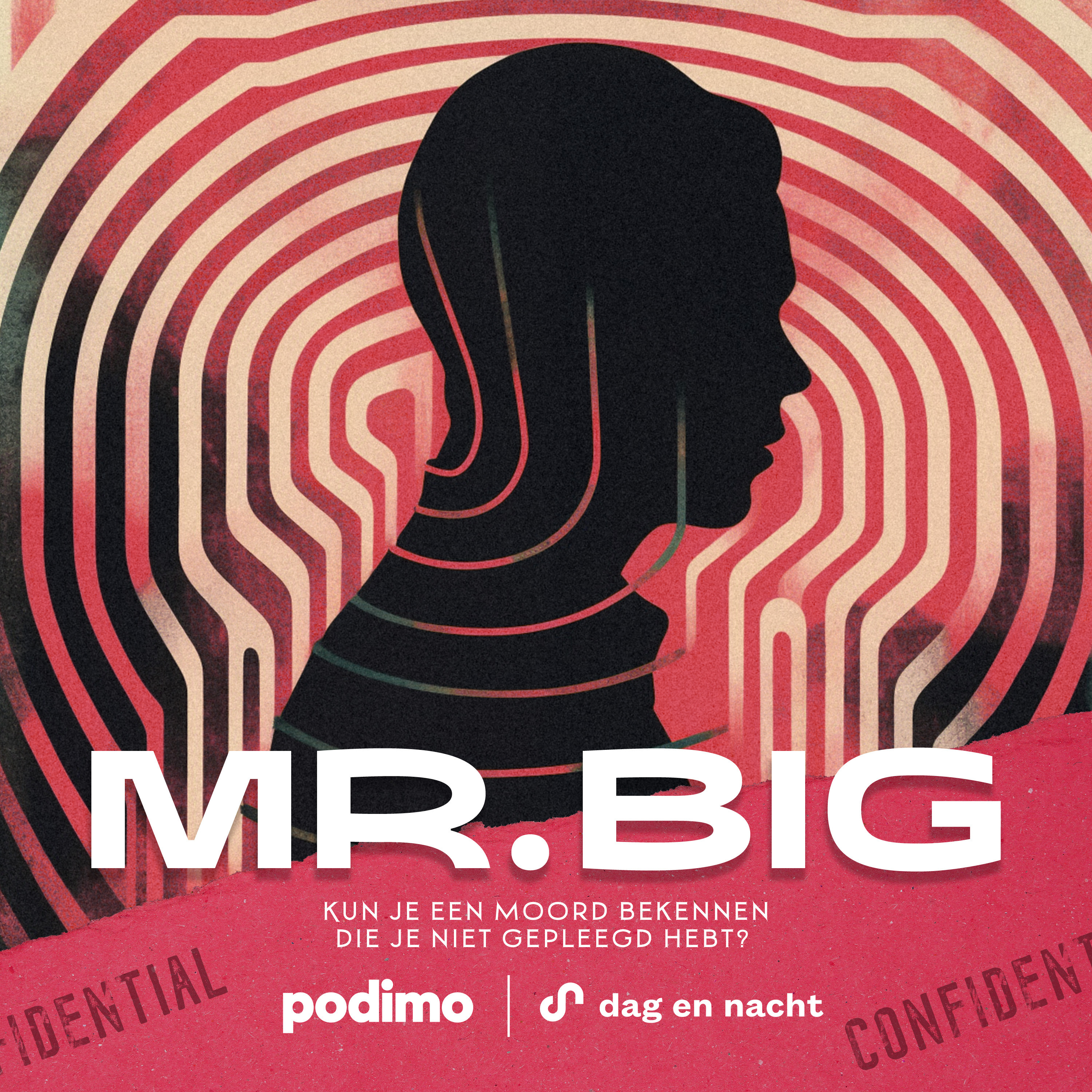 Logo Mr. Big