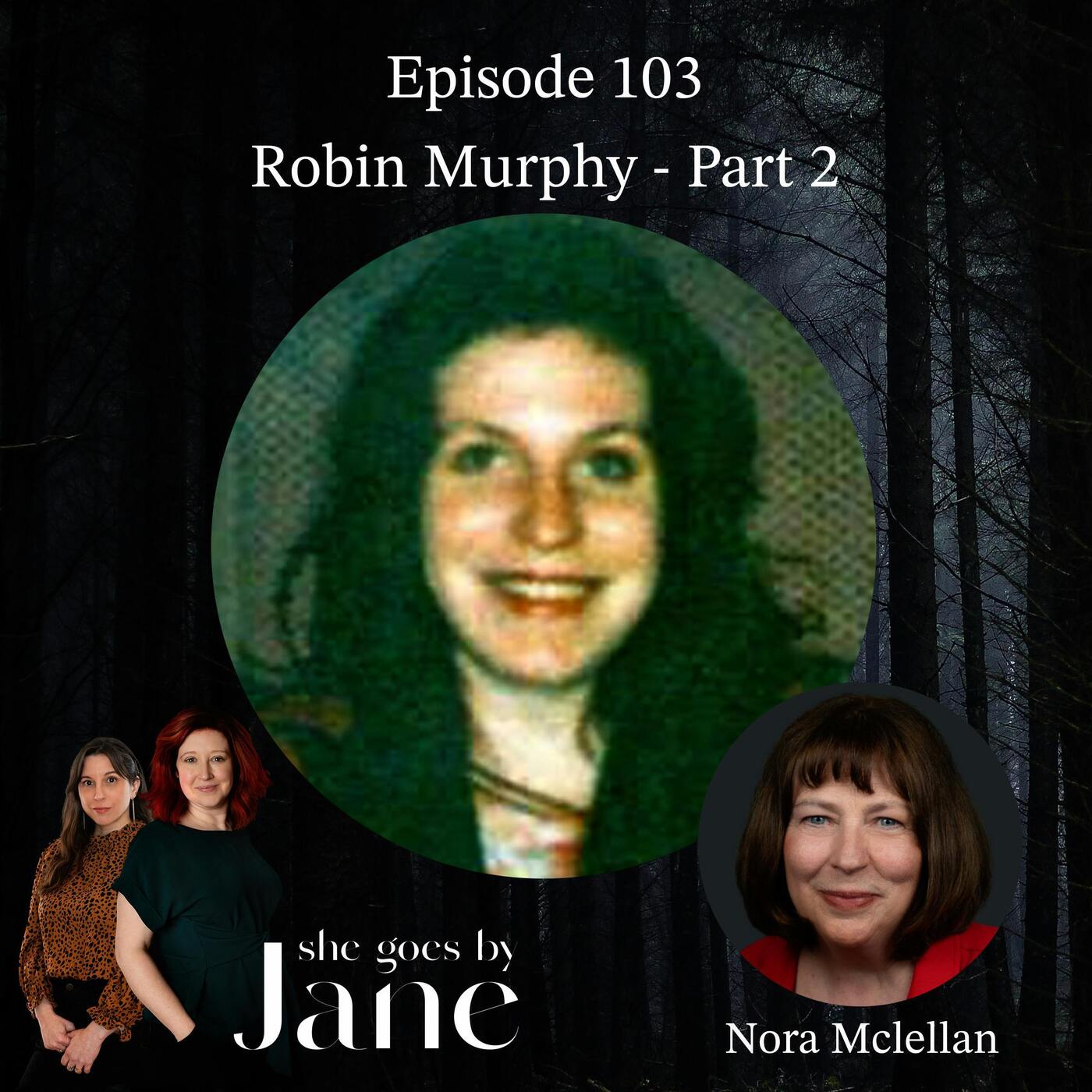 Unsolved: The 1995 Disappearance of Robin Murphy | Part 2 with guest reader Nora McLellan Unsolved: The 1995 Disappearance of Robin Murphy | Part 2 with guest reader Nora McLellan