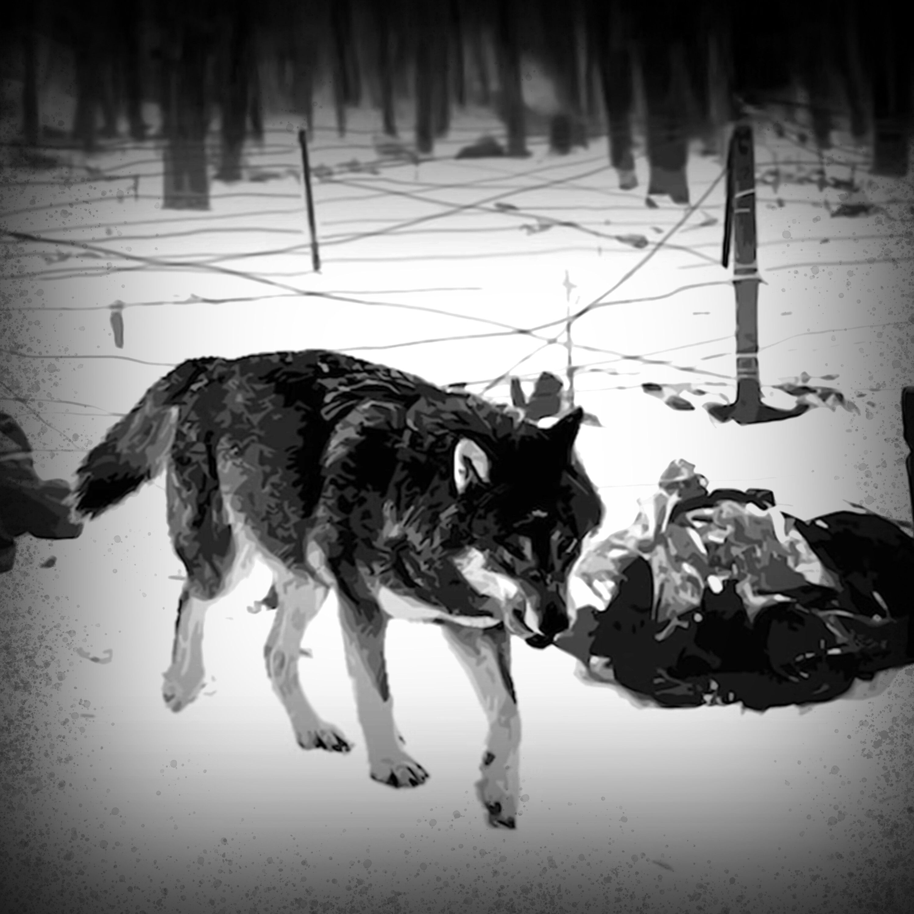 Episode art: War During Winter is a Horrible Thing...