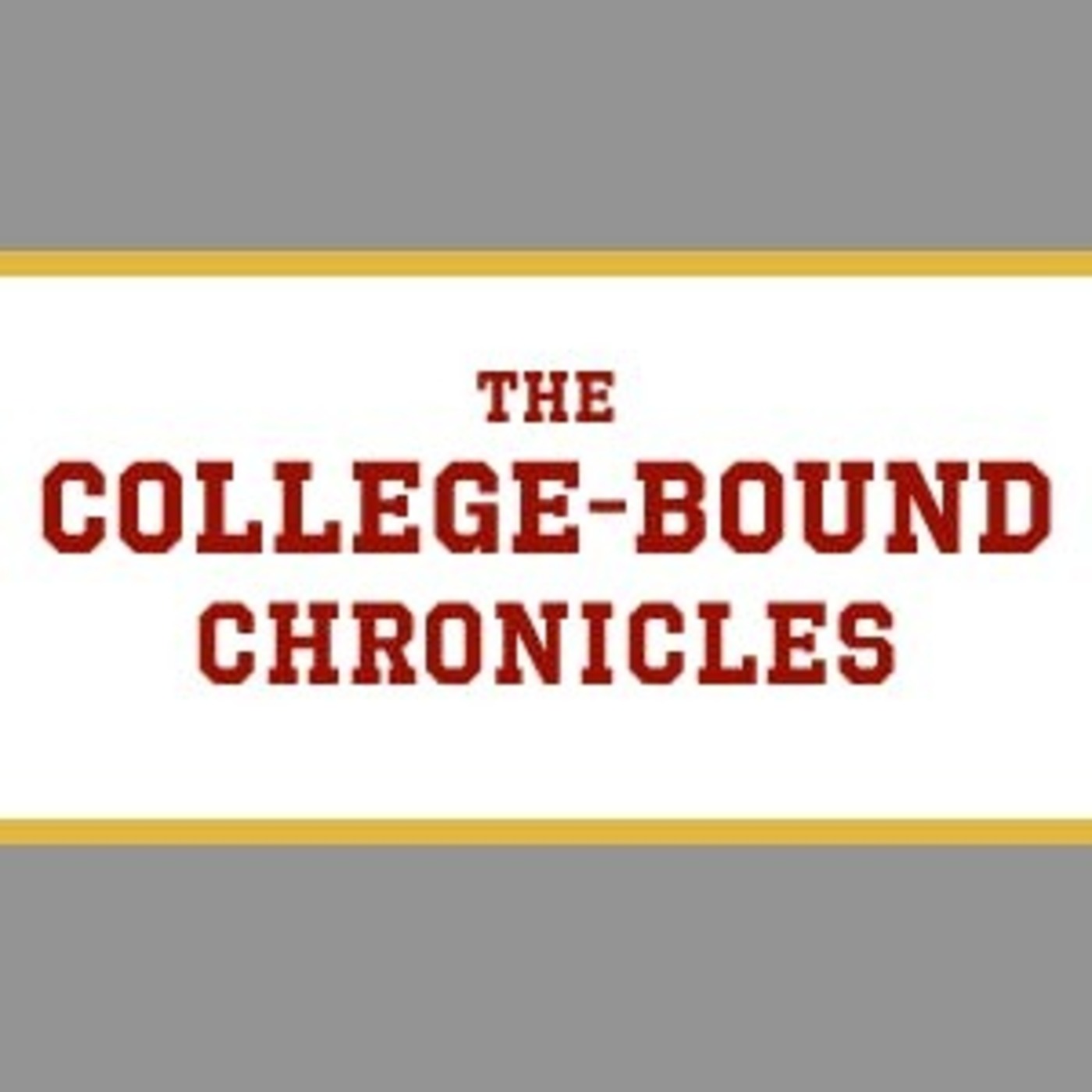 The Chaos Chronicles: Modern Motherhood with a Laugh