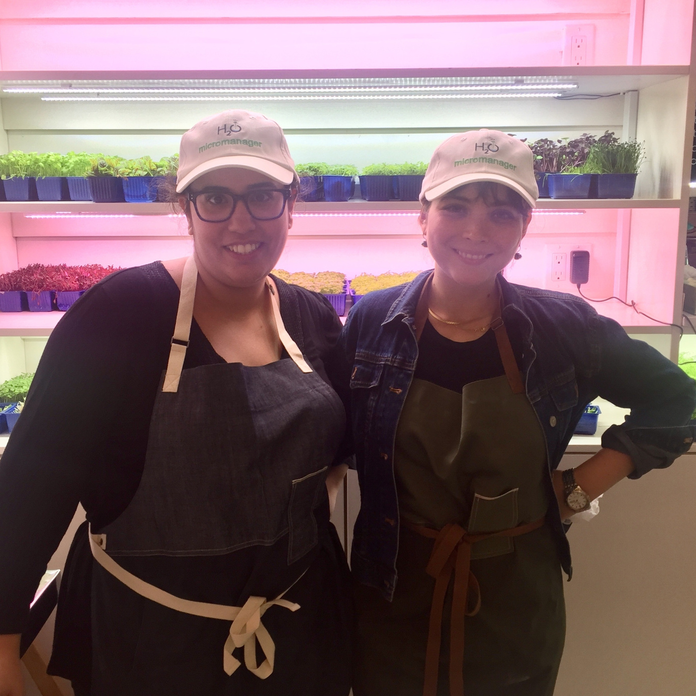 Episode 139: Harvest2Order: Micro Greens - Major Salads