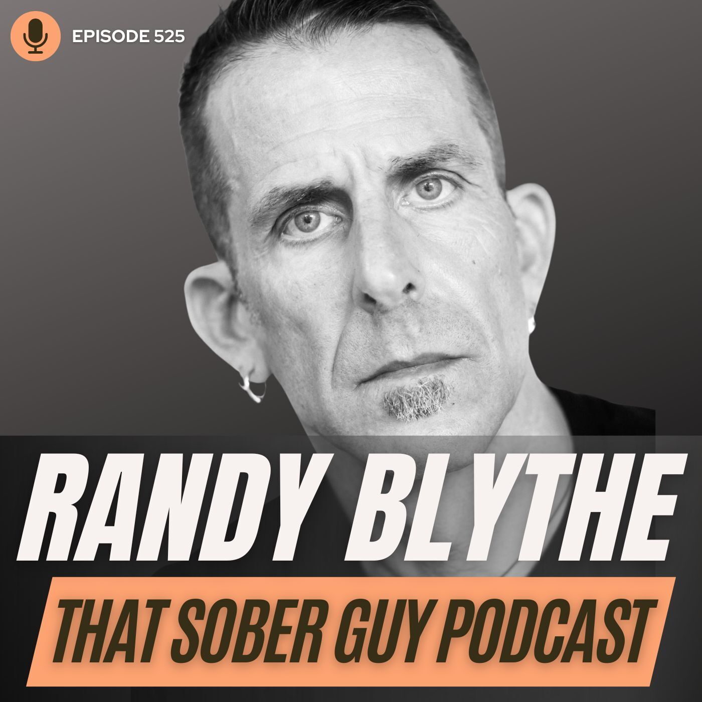 That Sober Guy Podcast