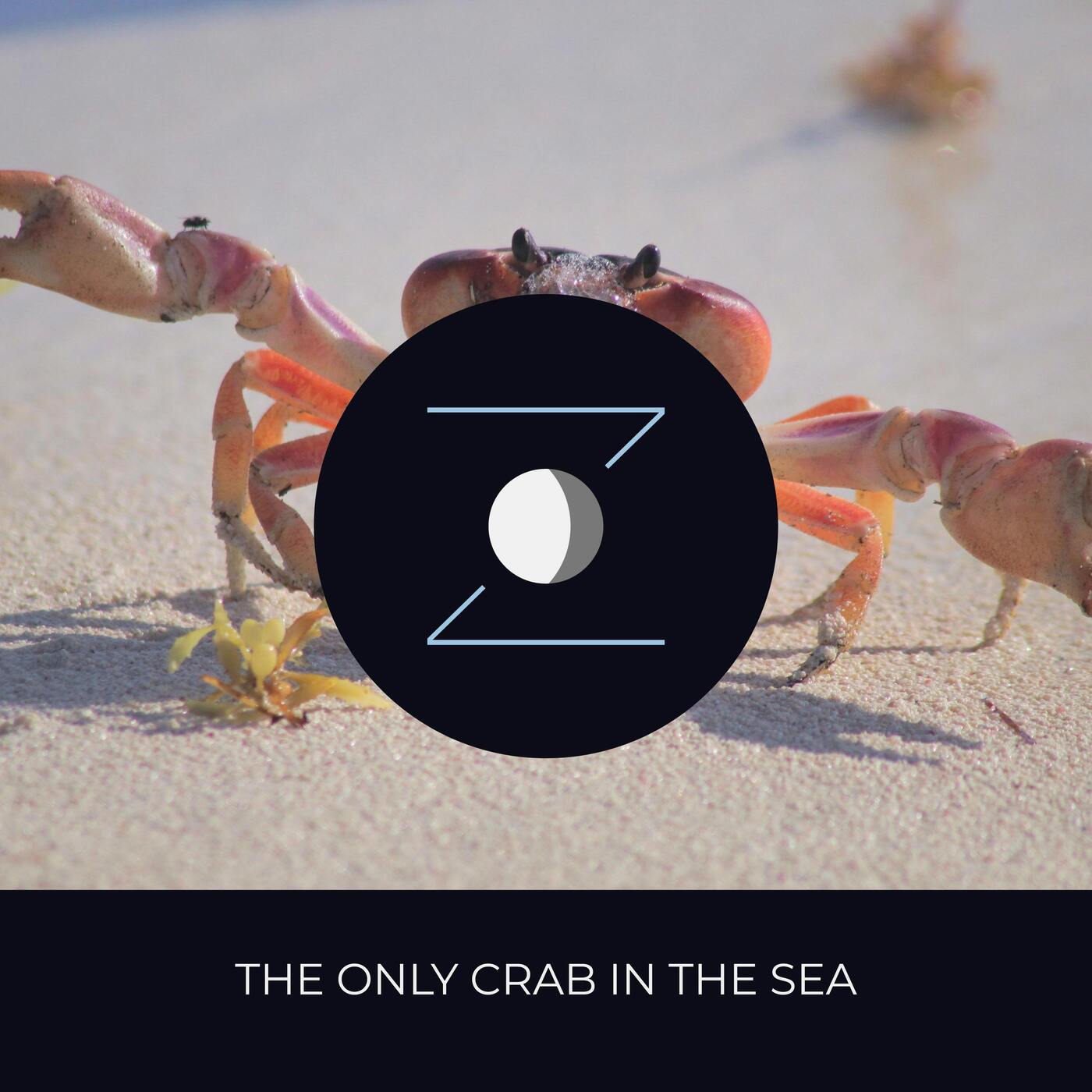 The Only Crab in the Sea episode artwork