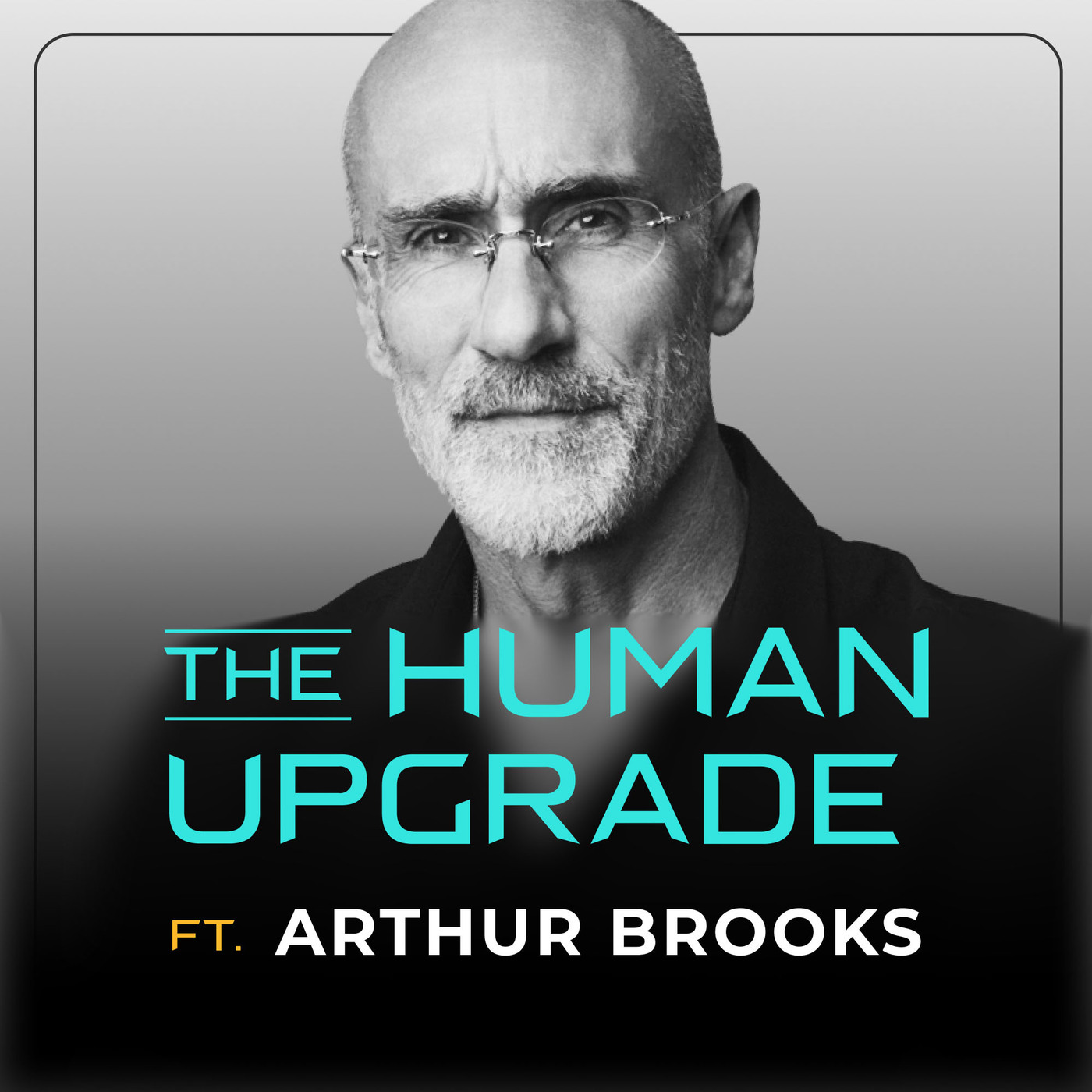 Arthur Brooks | Why Your Life Has No Meaning : 1438