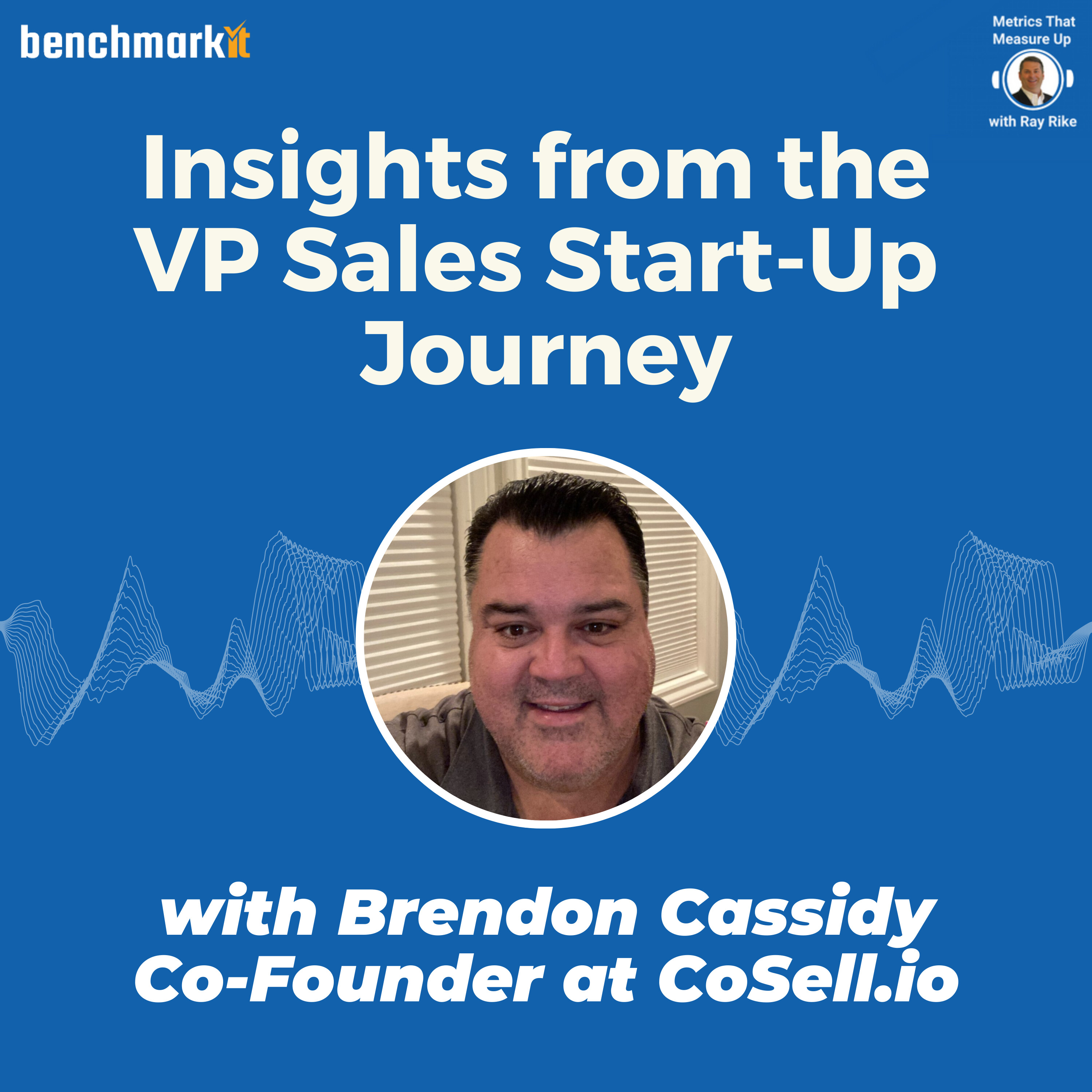The B2B SaaS VP Sales Journey - with Brendon Cassidy, Founder and CEO CoSell