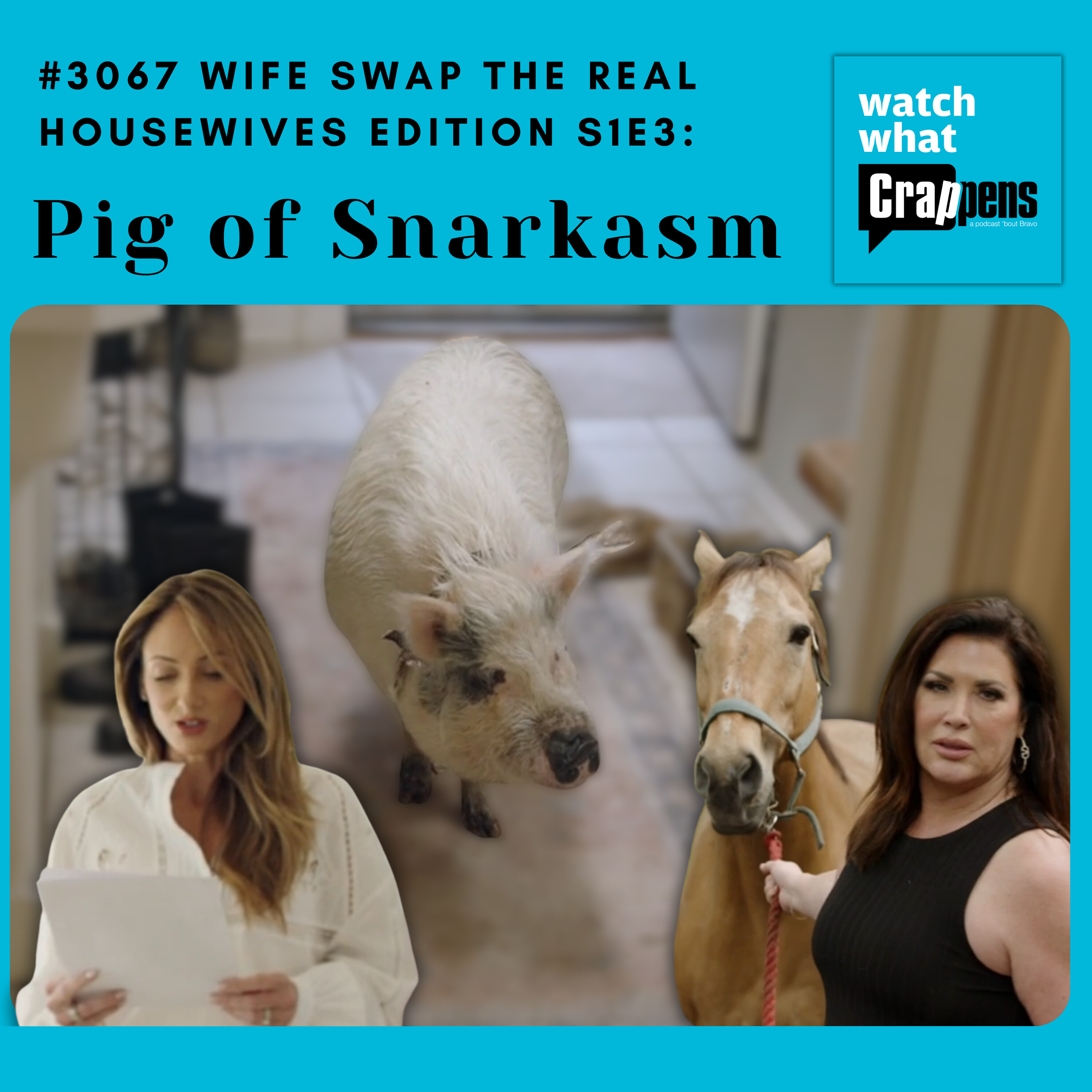 #3067 Wife Swap The Real Housewives Edition S1E3: Pig of Snarkasm