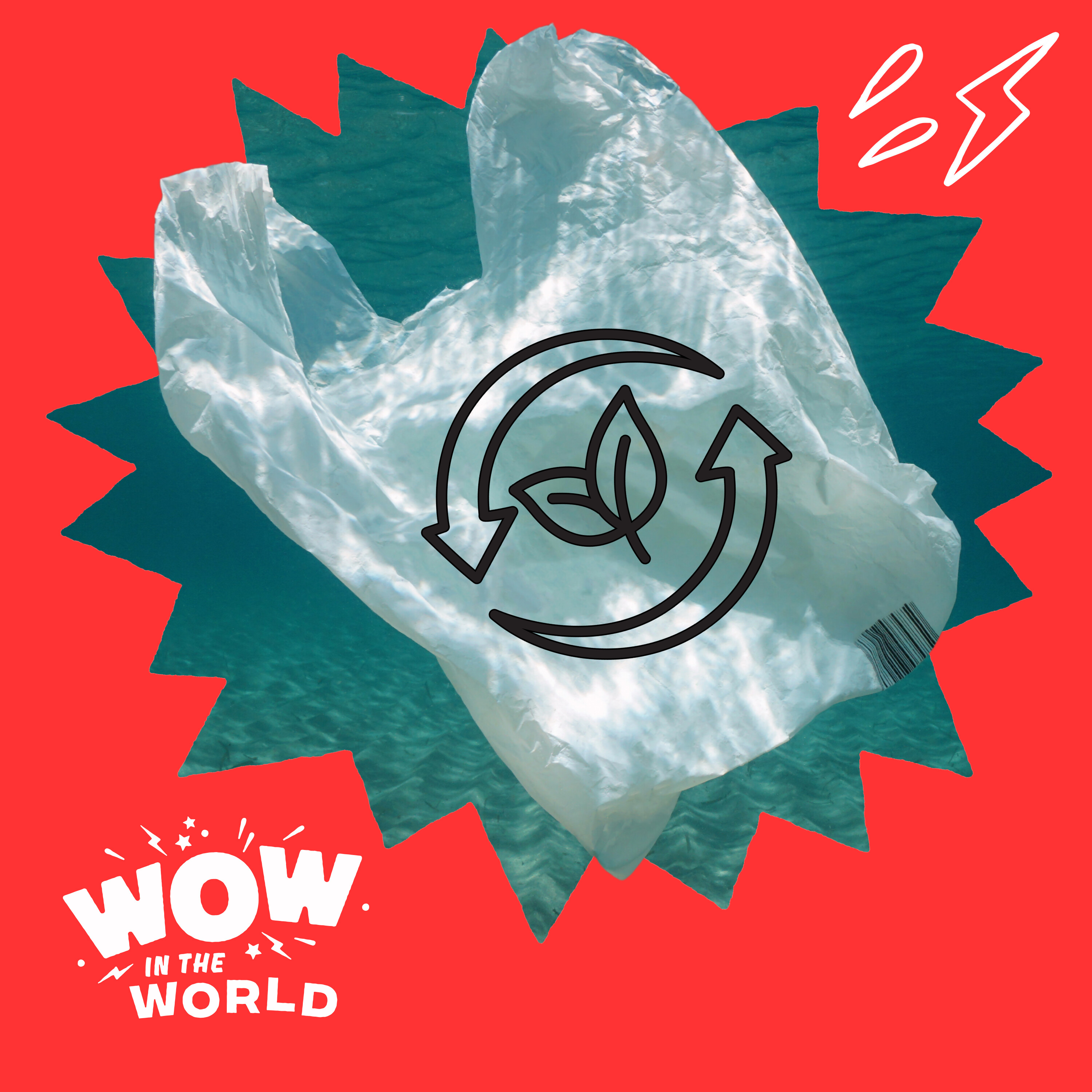 A Fantastic Plastic Feast: What Happens When Biodegradable Bags Meet Microbes