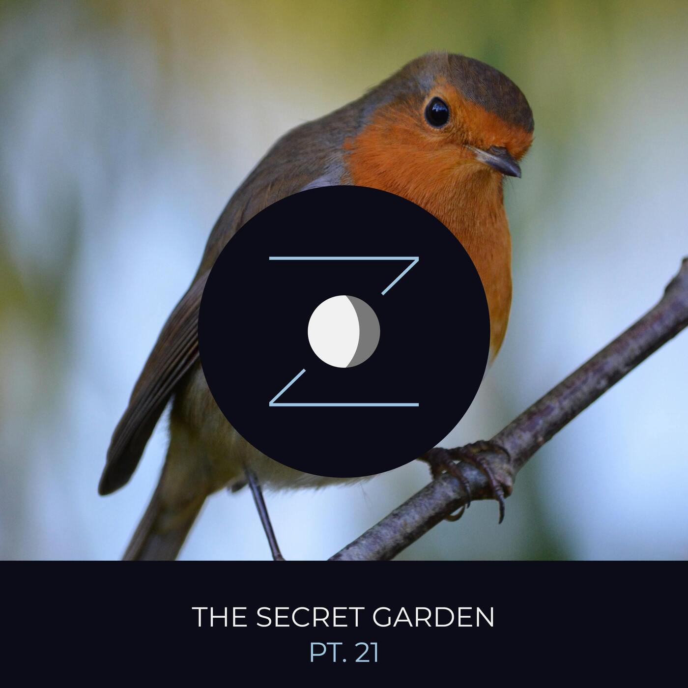 The Secret Garden pt. 21 episode artwork