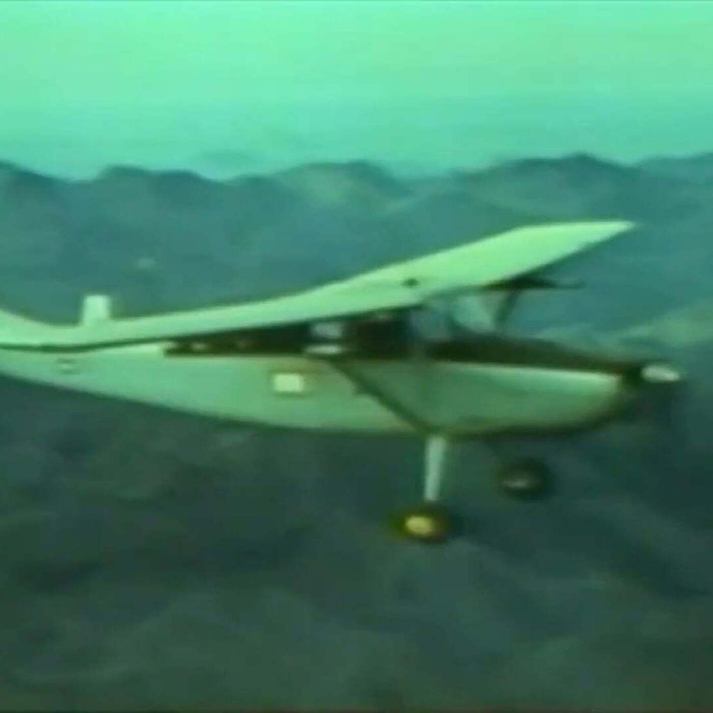 The Sparrow Hawks The Sparrow Hawks