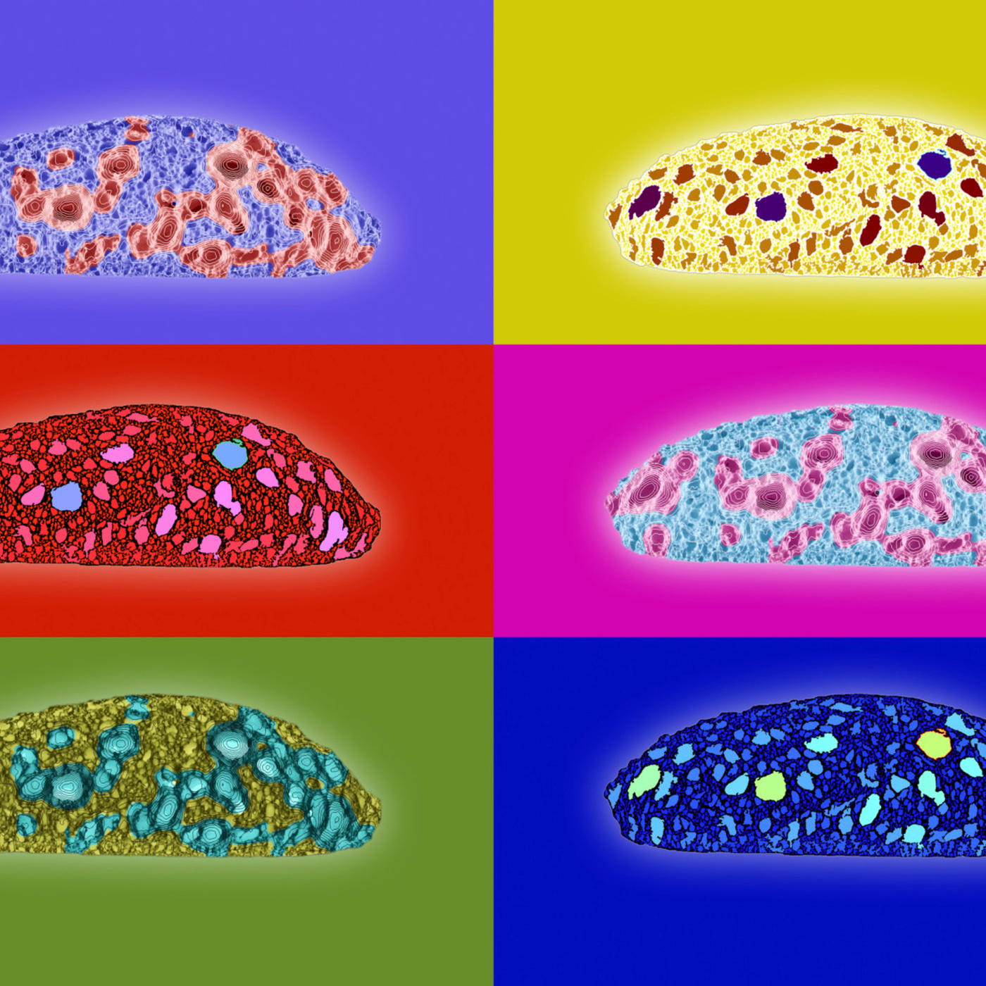 Episode 3: On the Rise