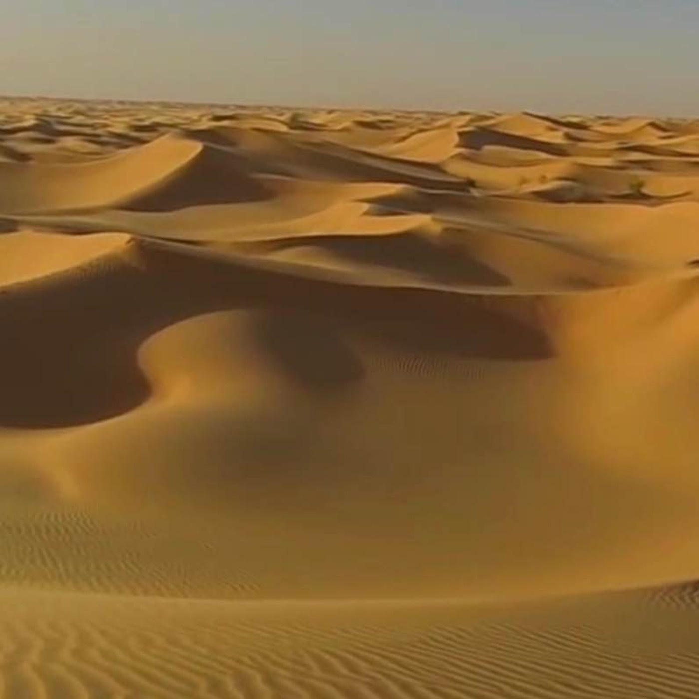 Geography 101, in its fourth season, takes listeners on a journey into the heart of the Sahara Desert.