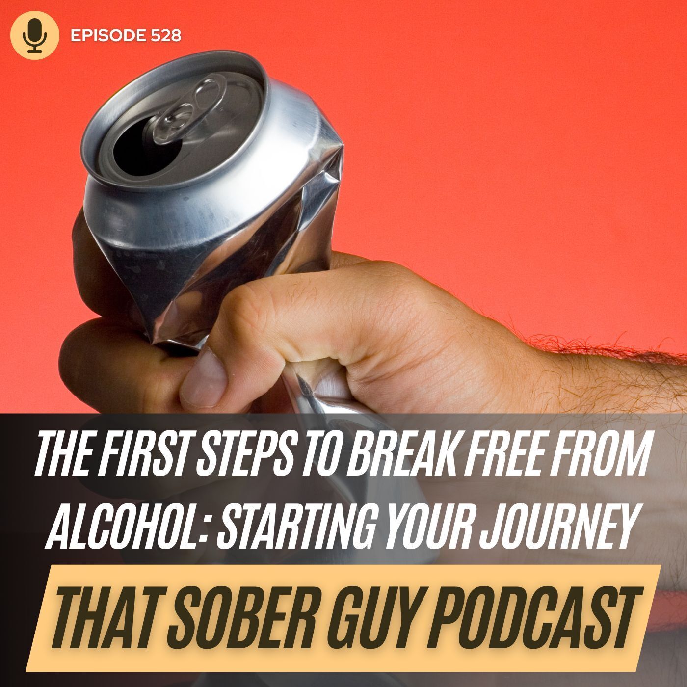 That Sober Guy Podcast