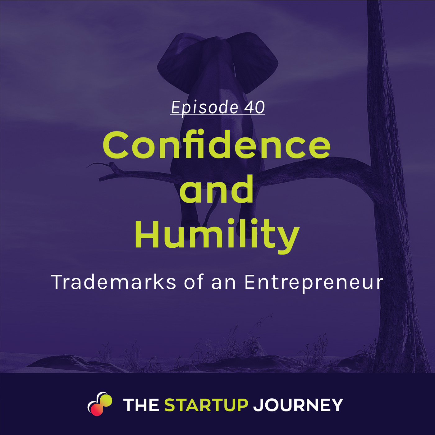 Precursa: The Startup Journey with Host Cynthia Del\'Aria