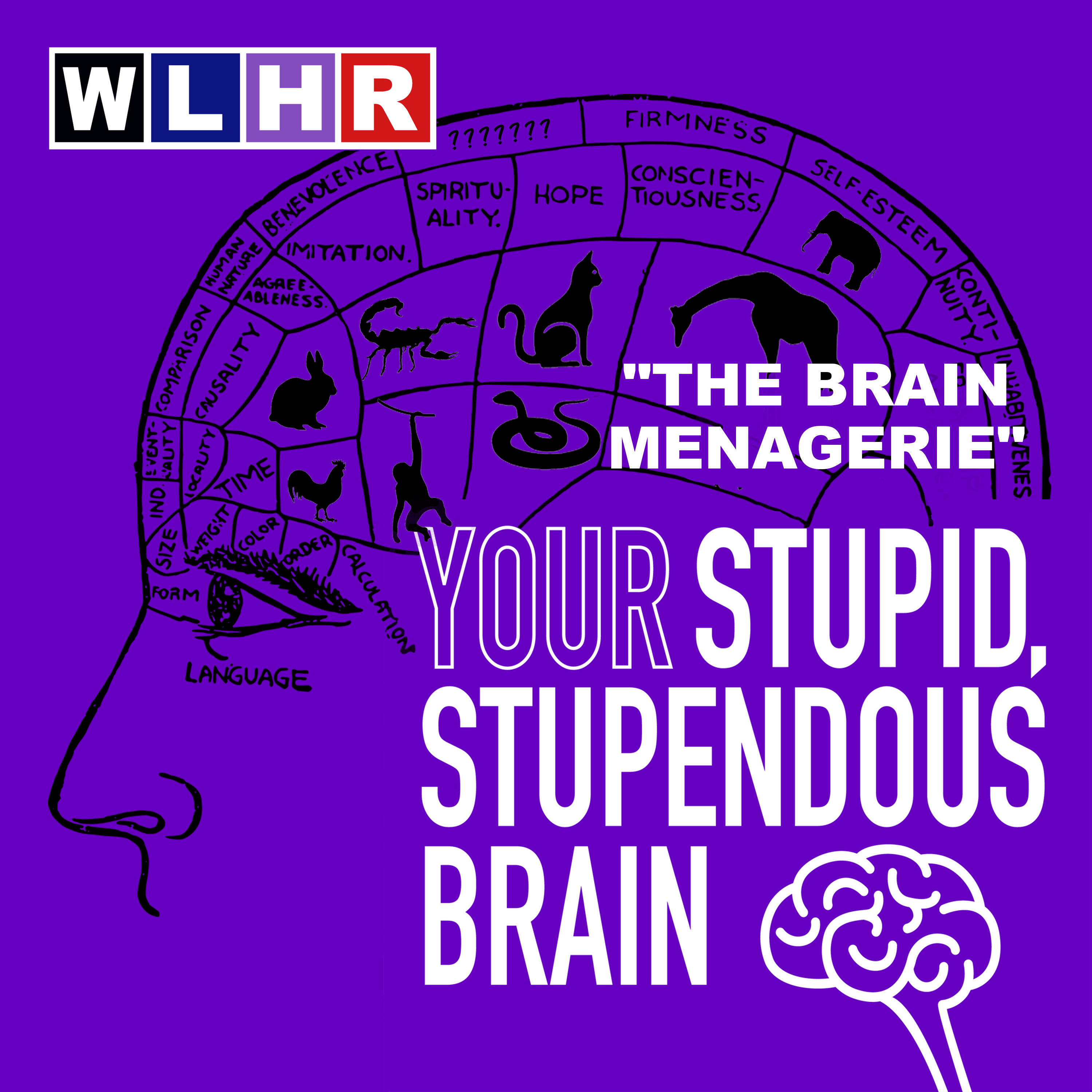 WLHR: Fake Public Radio