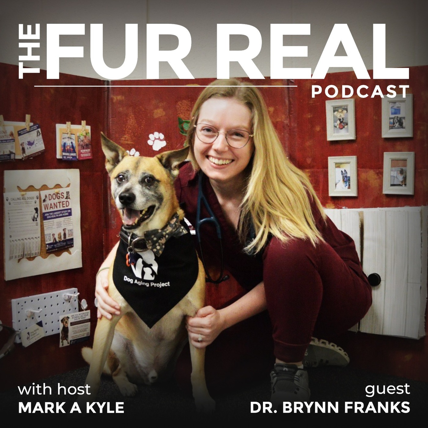"THE DOG AGING PROJECT: Unlocking the secrets of canine longevity" with Dr. Brynn Franks