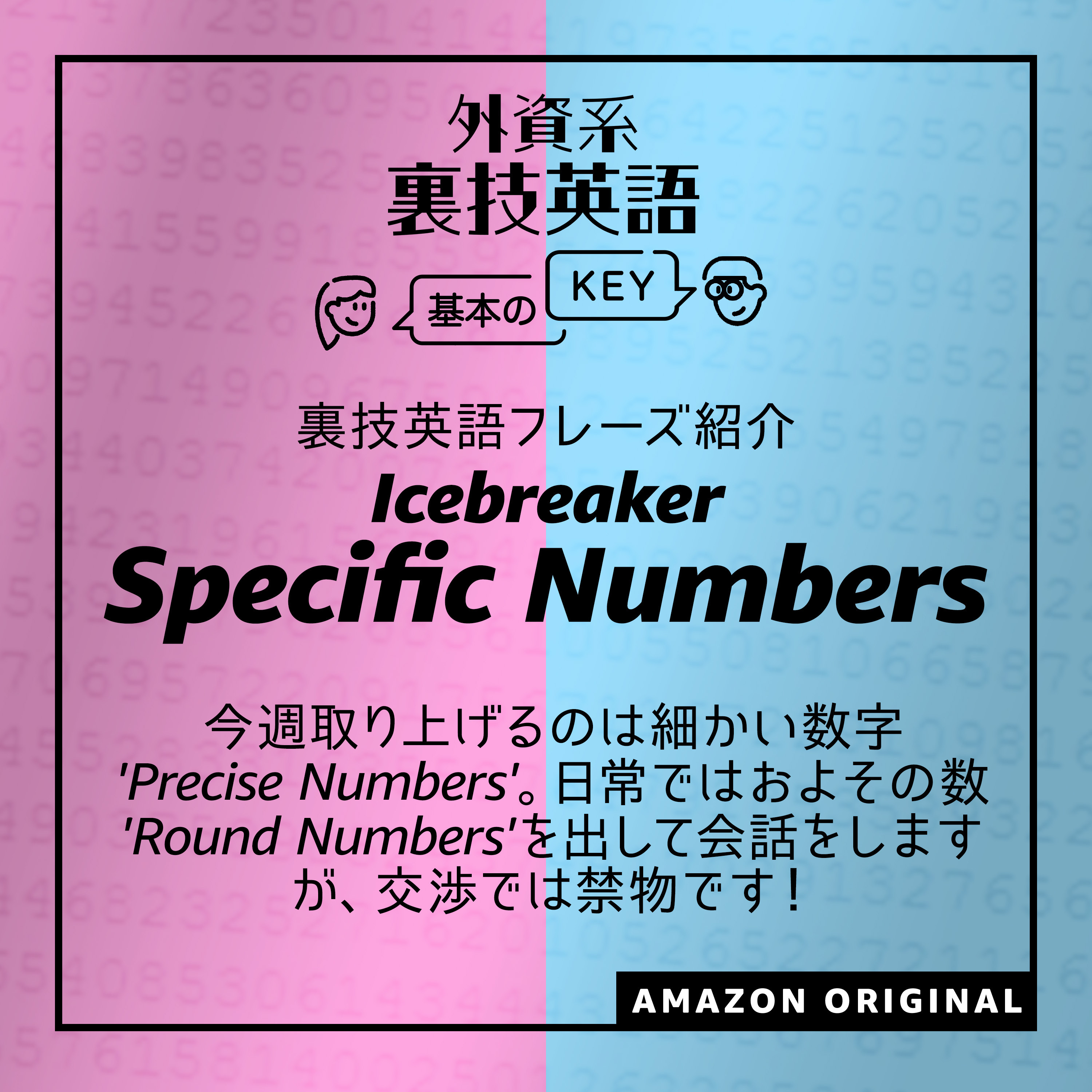 Precise Numbers - Icebreaker