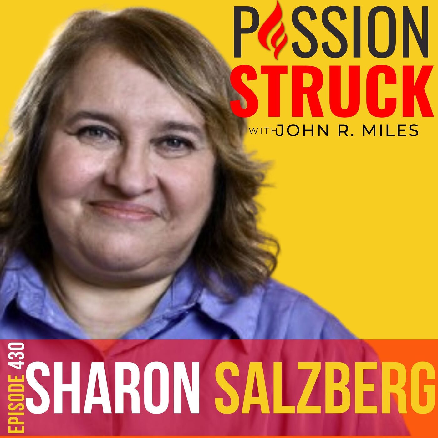 Sharon Salzberg on Finding Balance, Strength and Equanimity EP 430