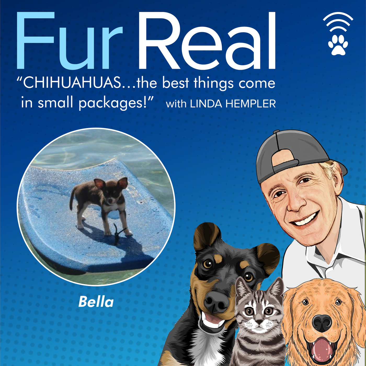 "CHIHUAHUA'S...the best things come in small packages!" with Linda Hempler