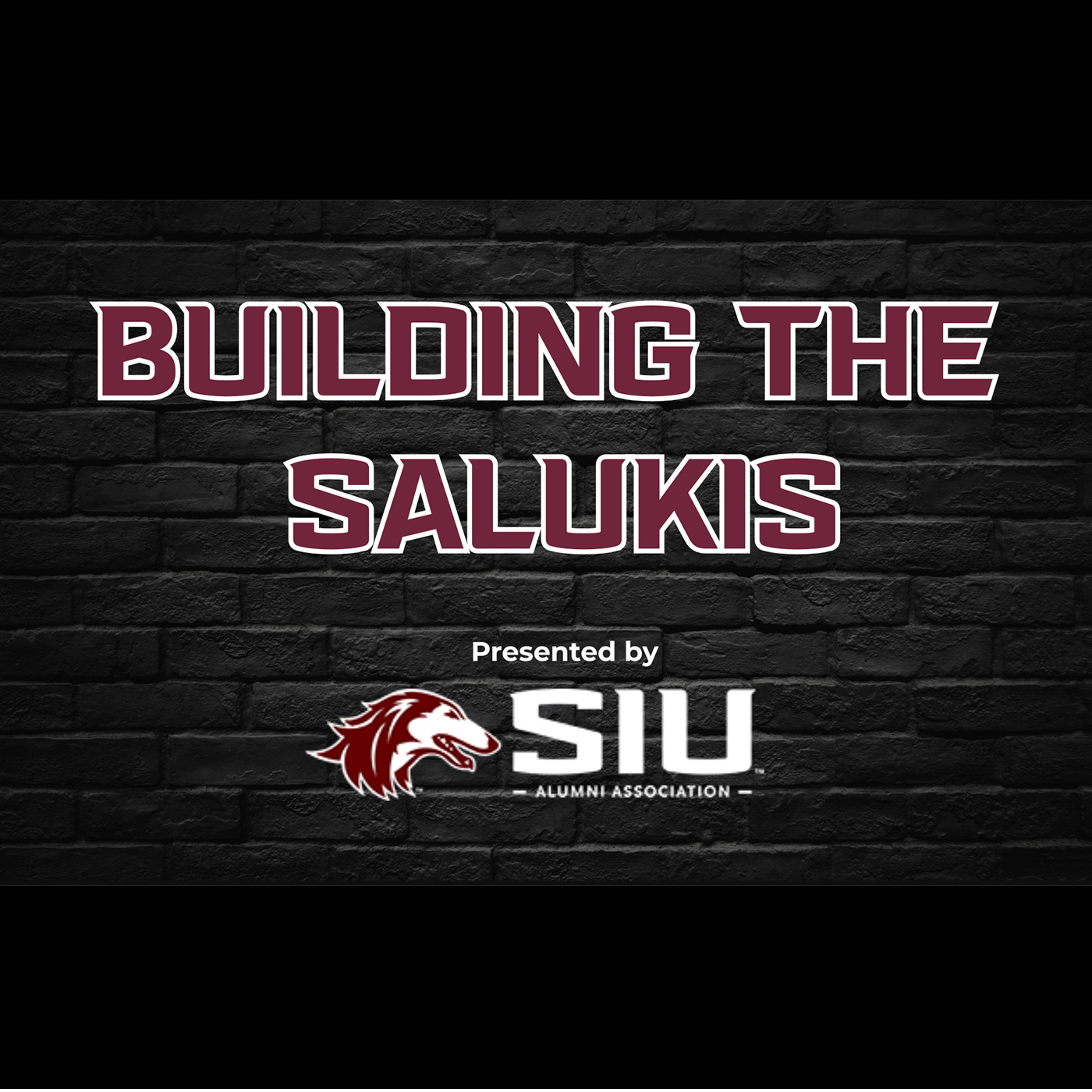 The Saluki Royalty Podcast