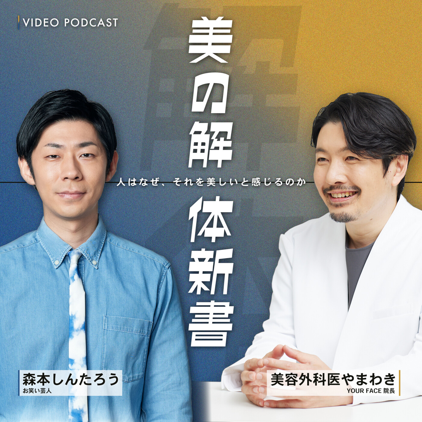 美の解体新書