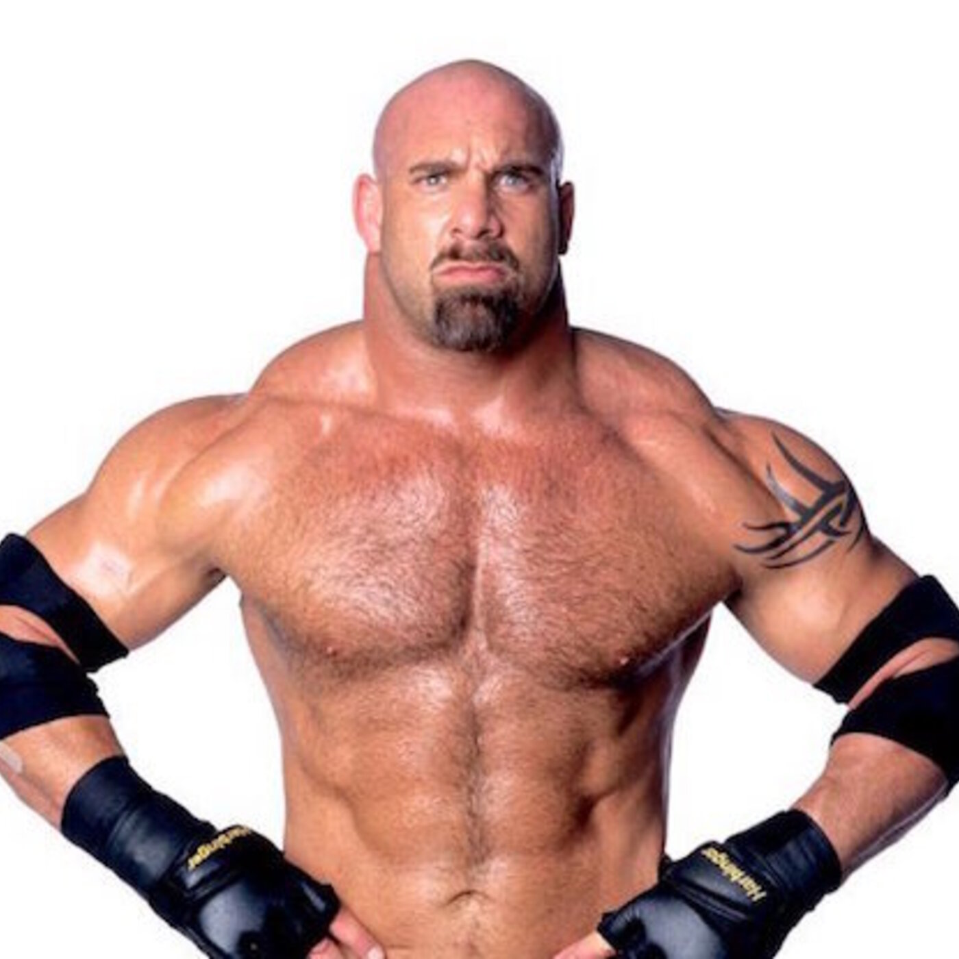 Steve Austin Show - Ep 338 episode artwork