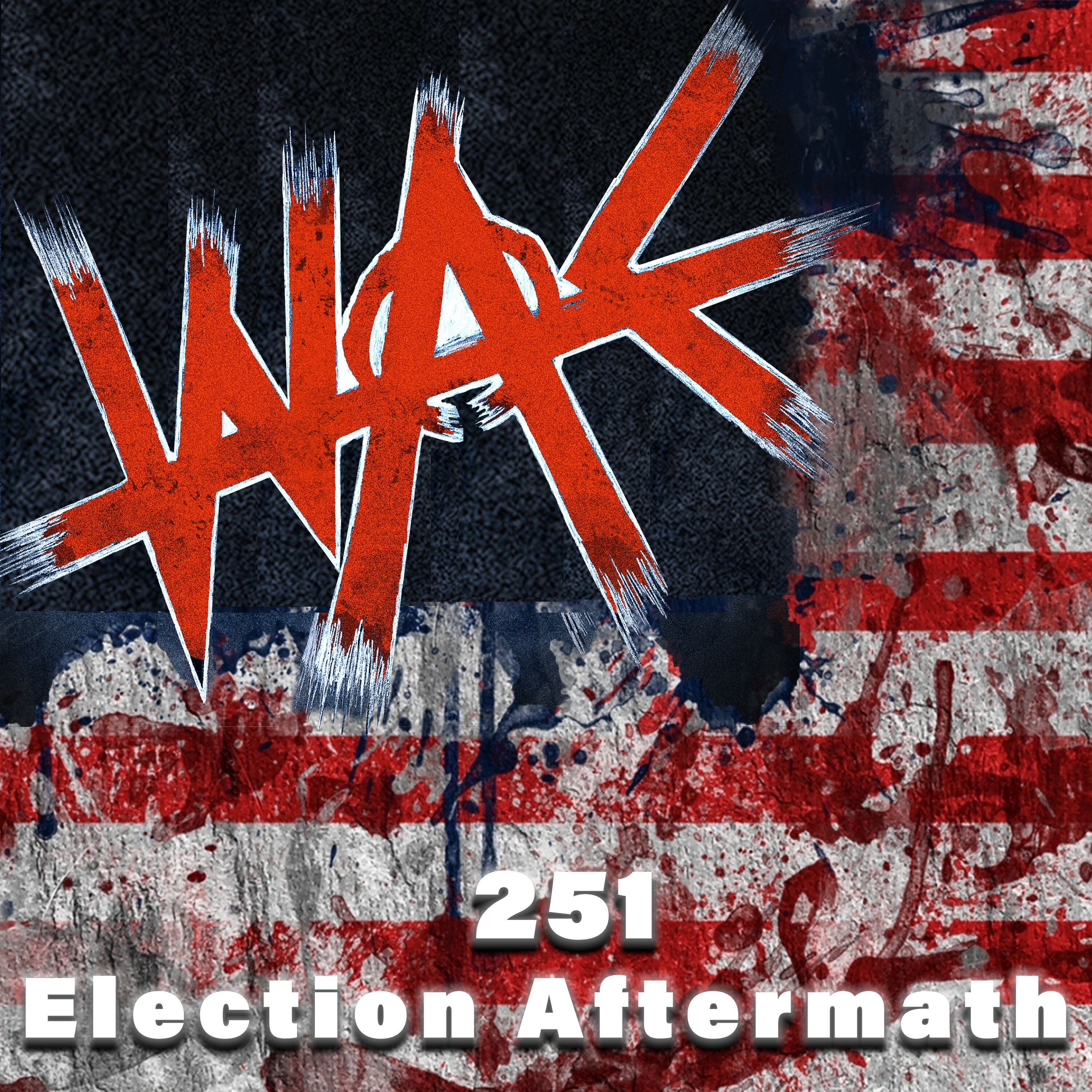 251: Election Aftermath