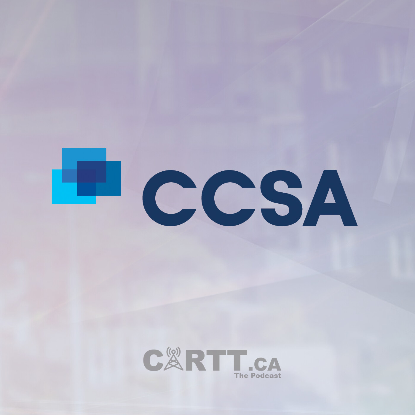 Two Years In: CCSA CEO Sheri Somerville on the Strategy to 'Take Independents to the Next Level'