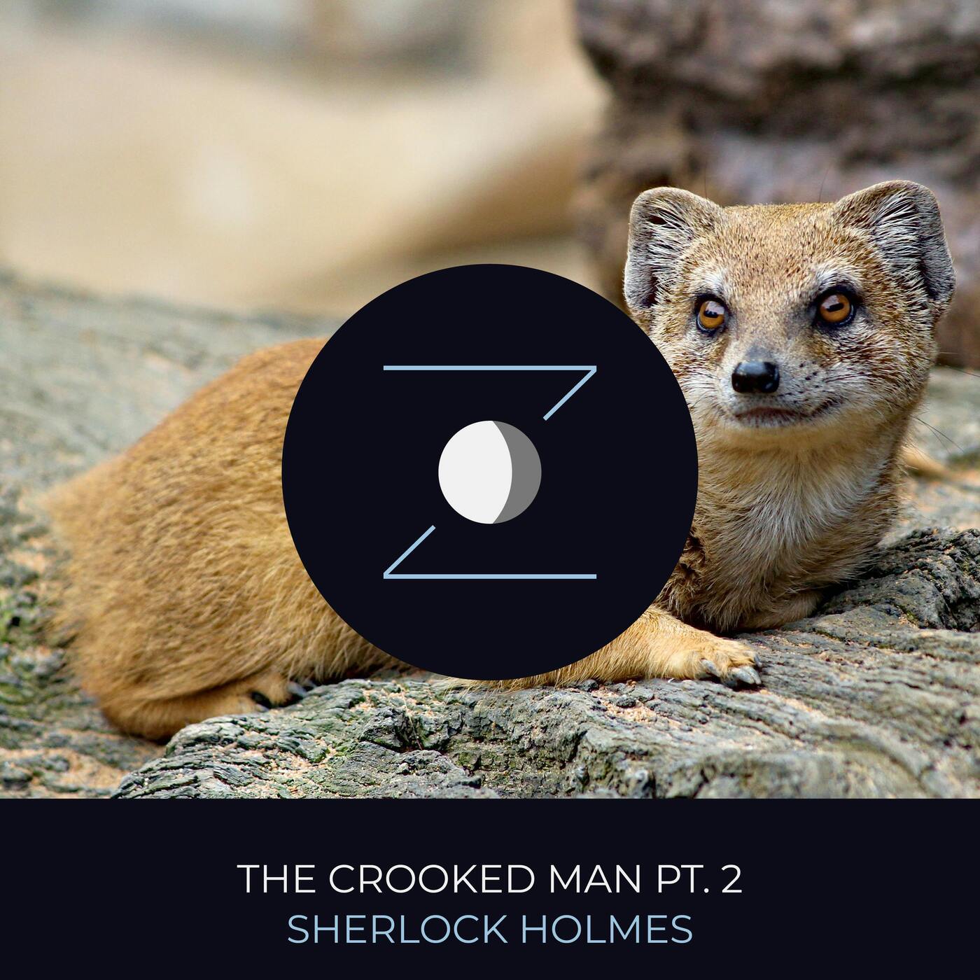 The Crooked Man pt. 2 | Sherlock Holmes episode artwork