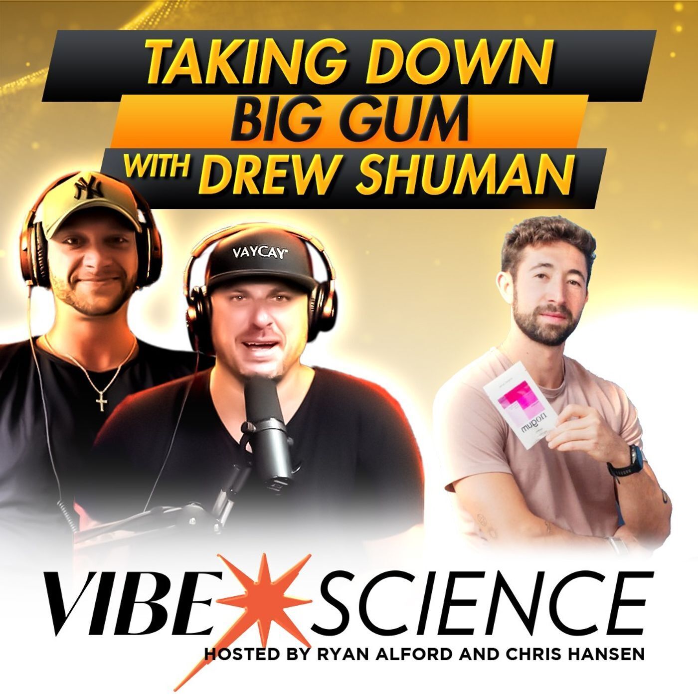 THE VIBE SCIENCE PODCAST