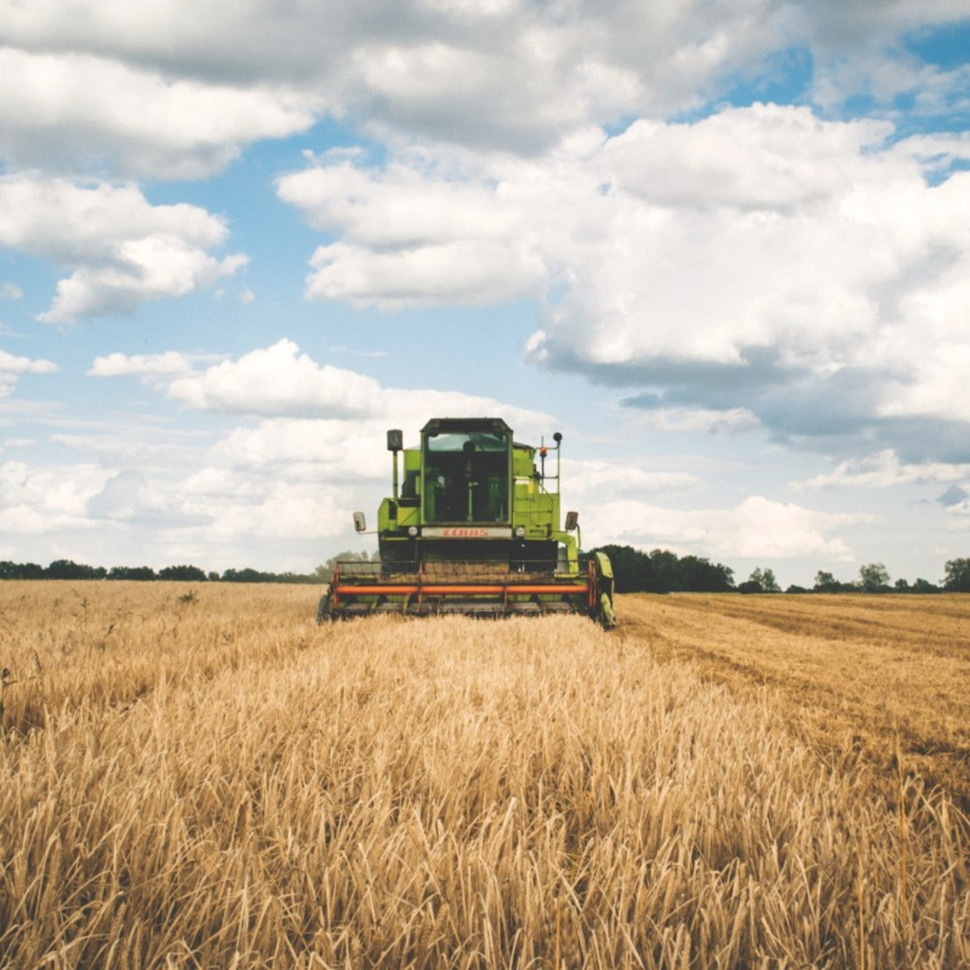 Kate Cox and Joe Fassler of The New Food Economy