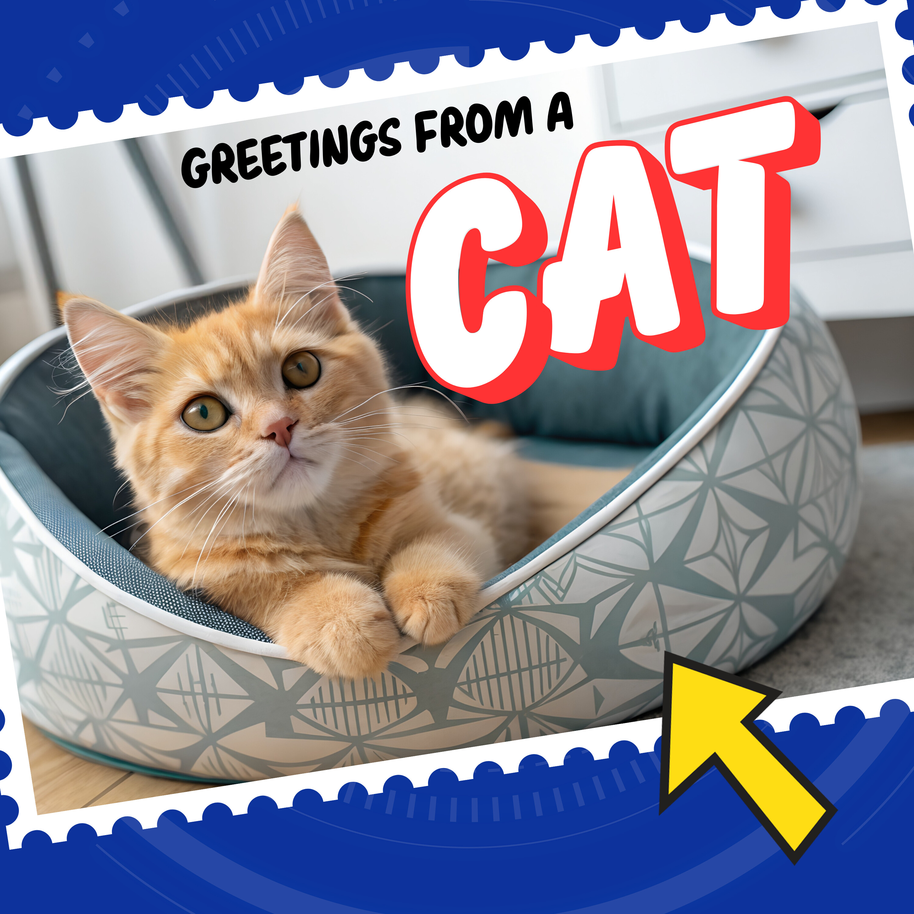 Postcards from Earth: Flip Meets a Cat