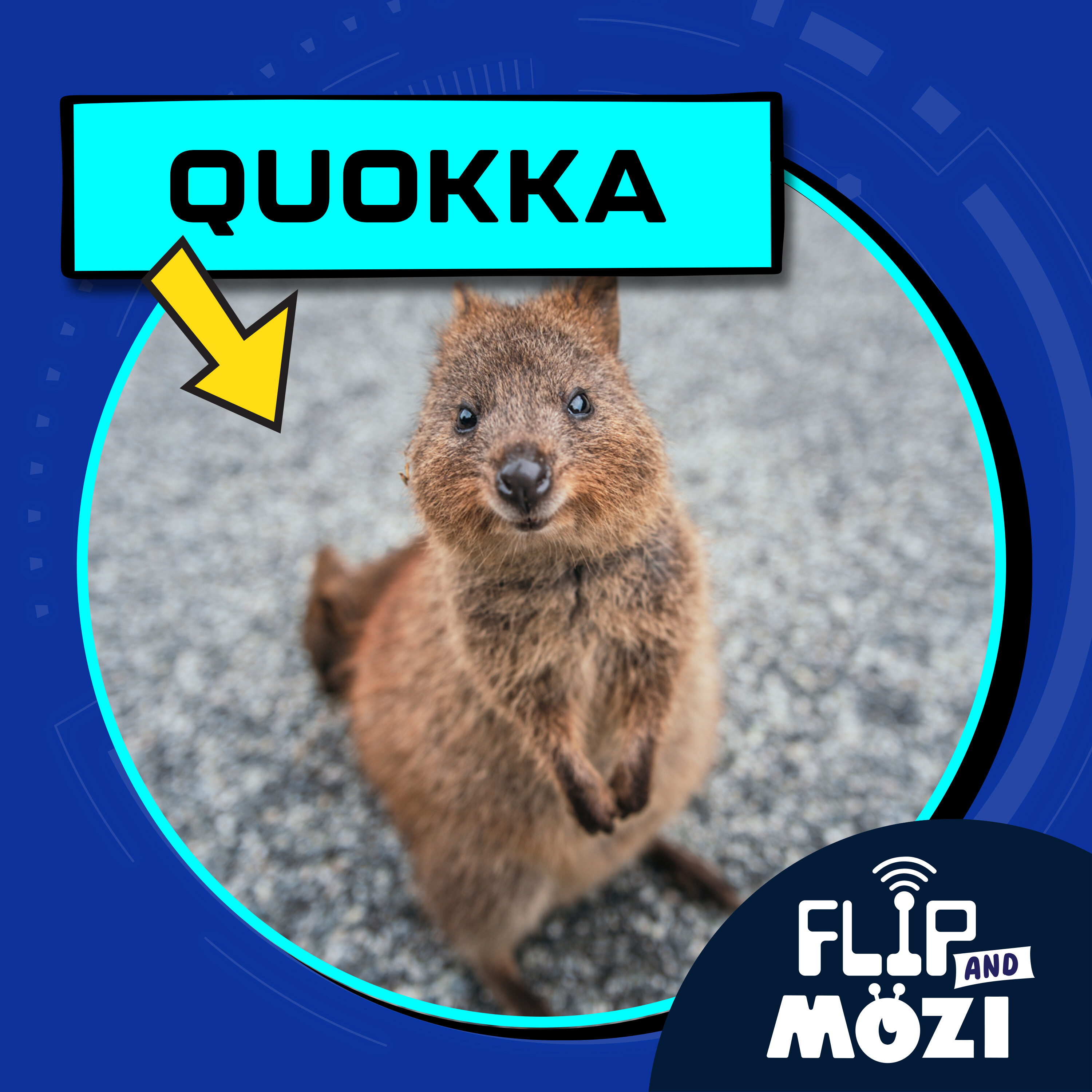 Quokka (3/9/23)