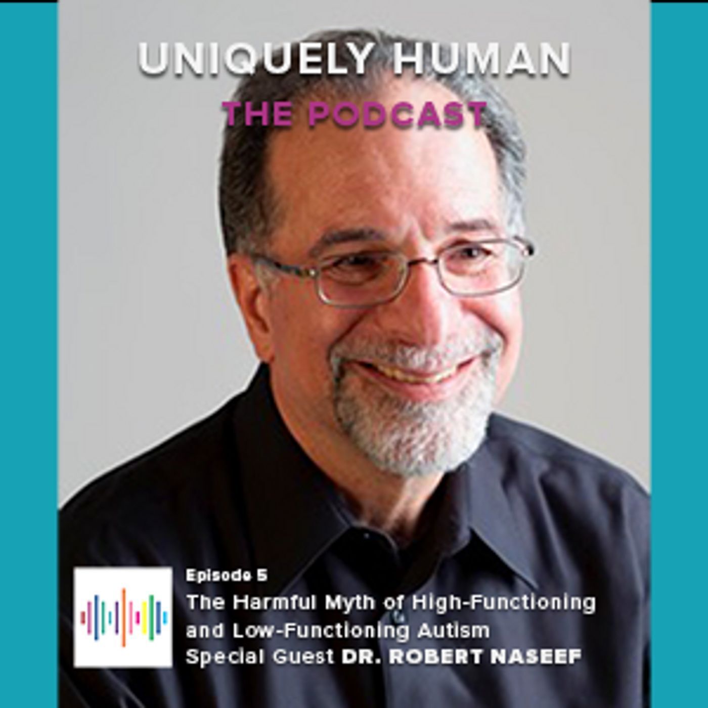 The Harmful Myth of High-Functioning and Low-Functioning Autism; An Autism Fathers’ Group; Guest Dr. Robert Naseef - podcast episode cover