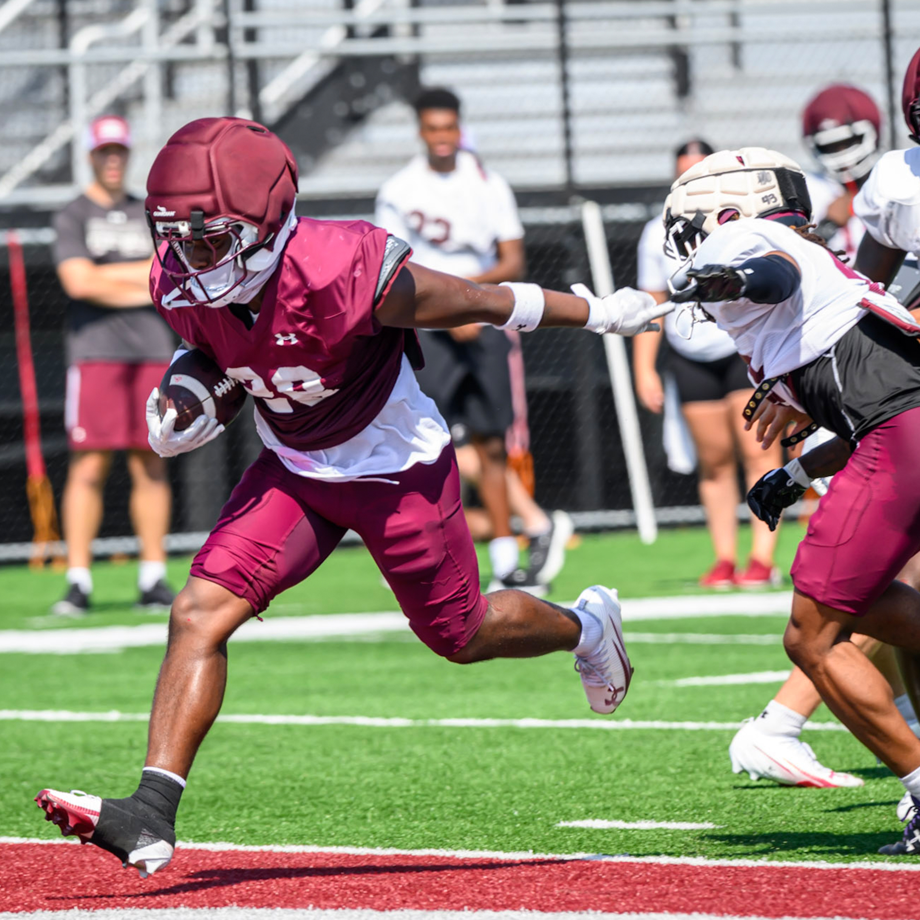 The Saluki Royalty Podcast