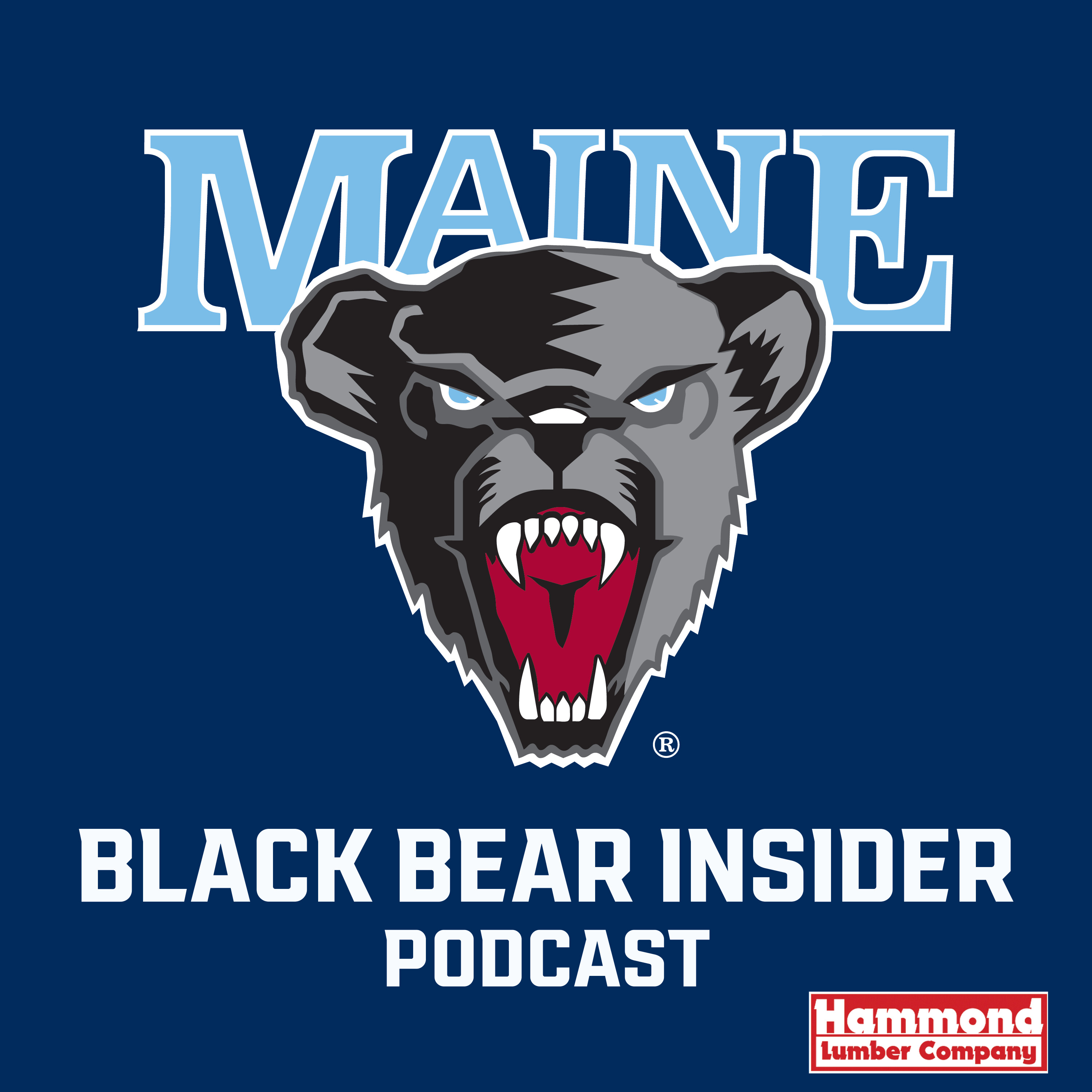 Black Bear Insider Podcast