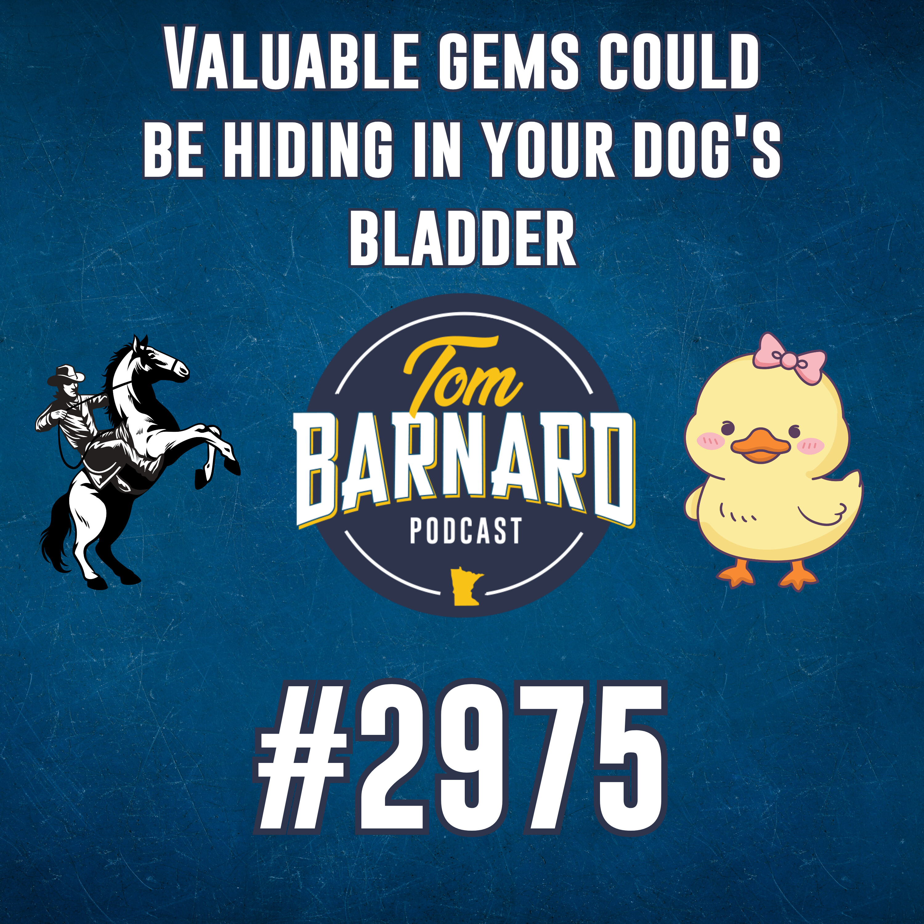 Valuable gems could be hiding in your dog's bladder - #2975