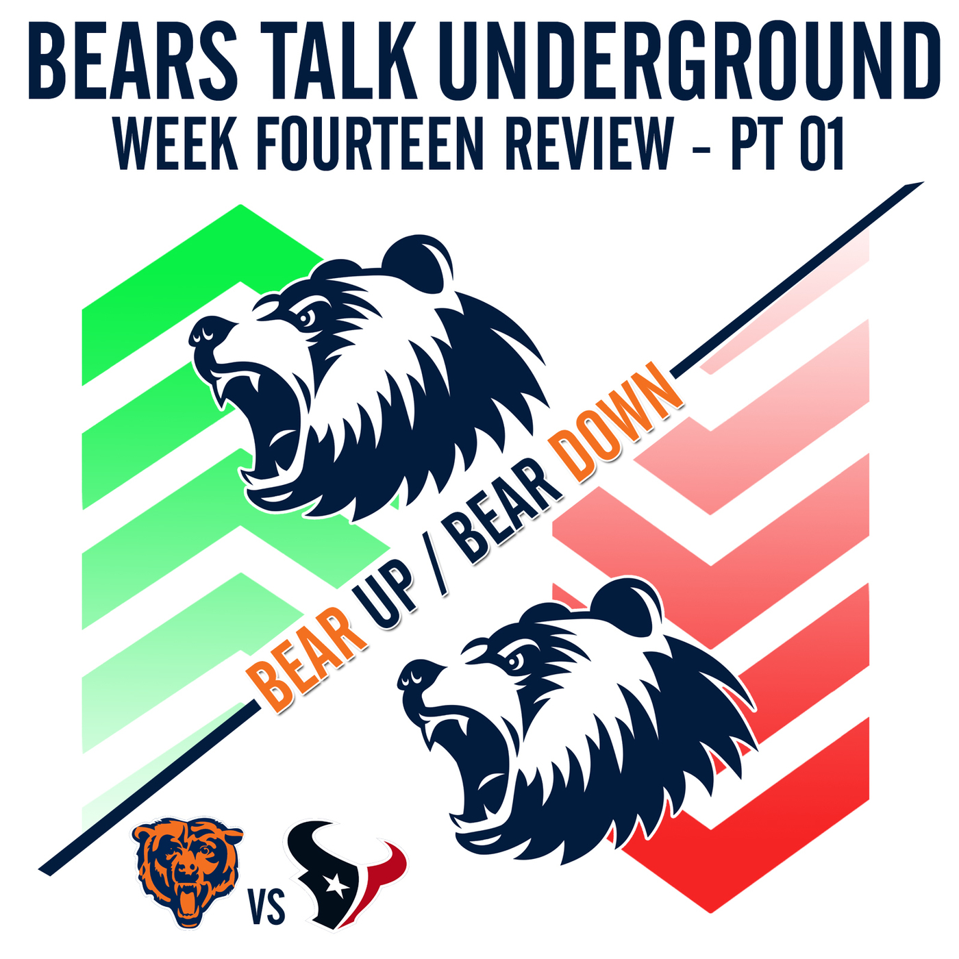 Week Fourteen Review - Bear Up/Bear Down episode artwork